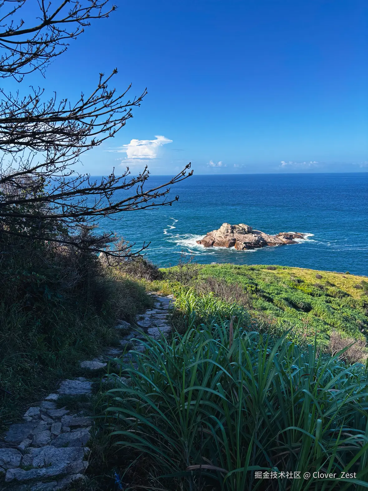 Clover_Zest于2025-10-09 16:24发布的图片
