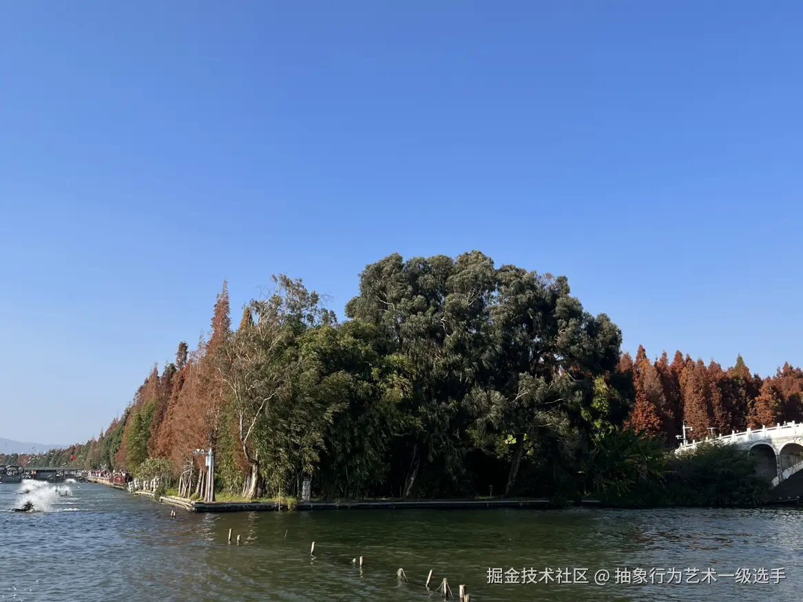 抽象行为艺术一级选手于2025-12-15 10:57发布的图片