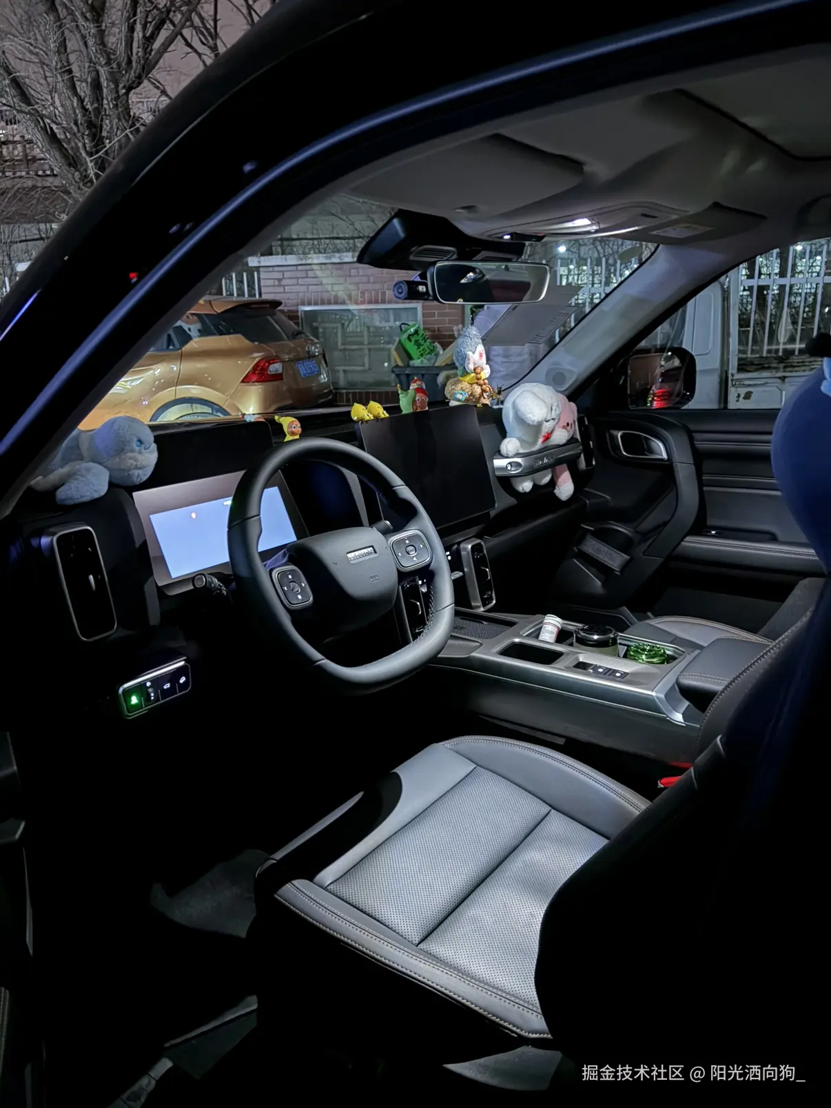 阳光洒向狗_于2026-01-23 14:50发布的图片