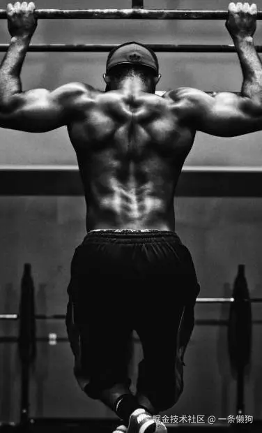 一条懒狗于2025-12-12 13:27发布的图片