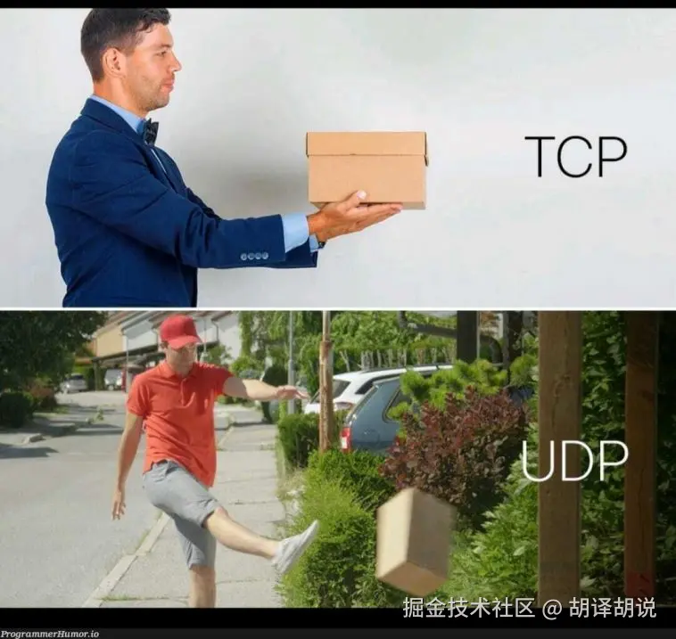 胡译胡说于2024-08-05 18:42发布的图片