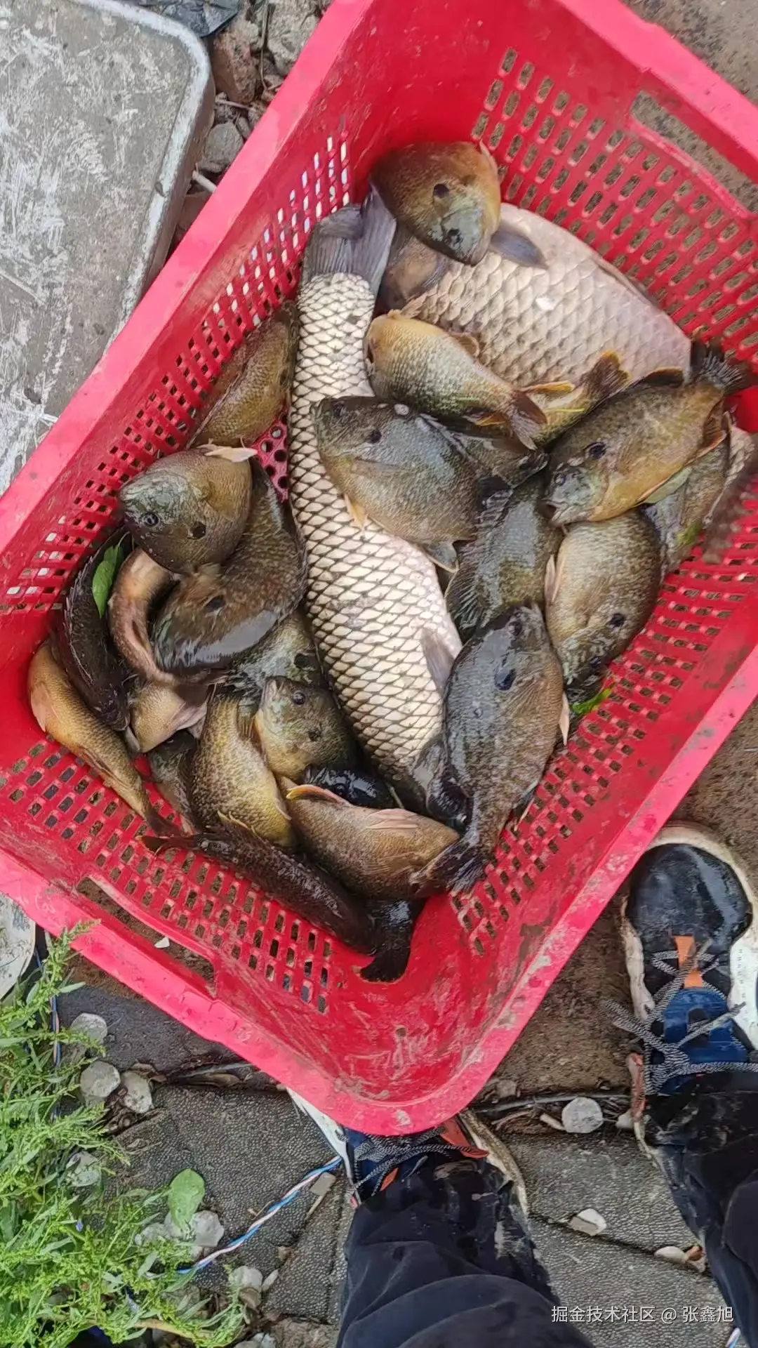 张鑫旭于2025-04-15 11:08发布的图片