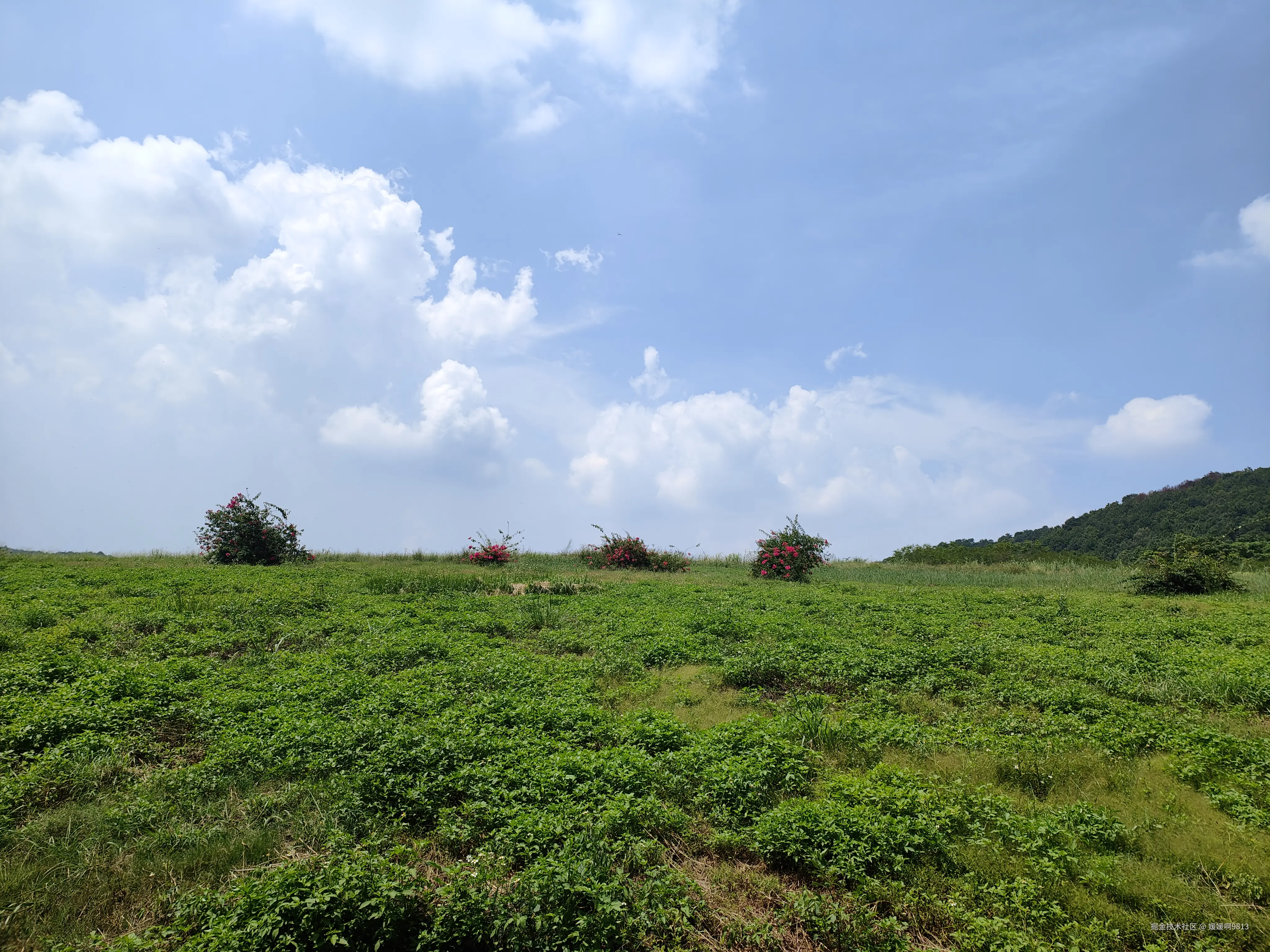 媛媛啊9813于2025-09-21 23:16发布的图片