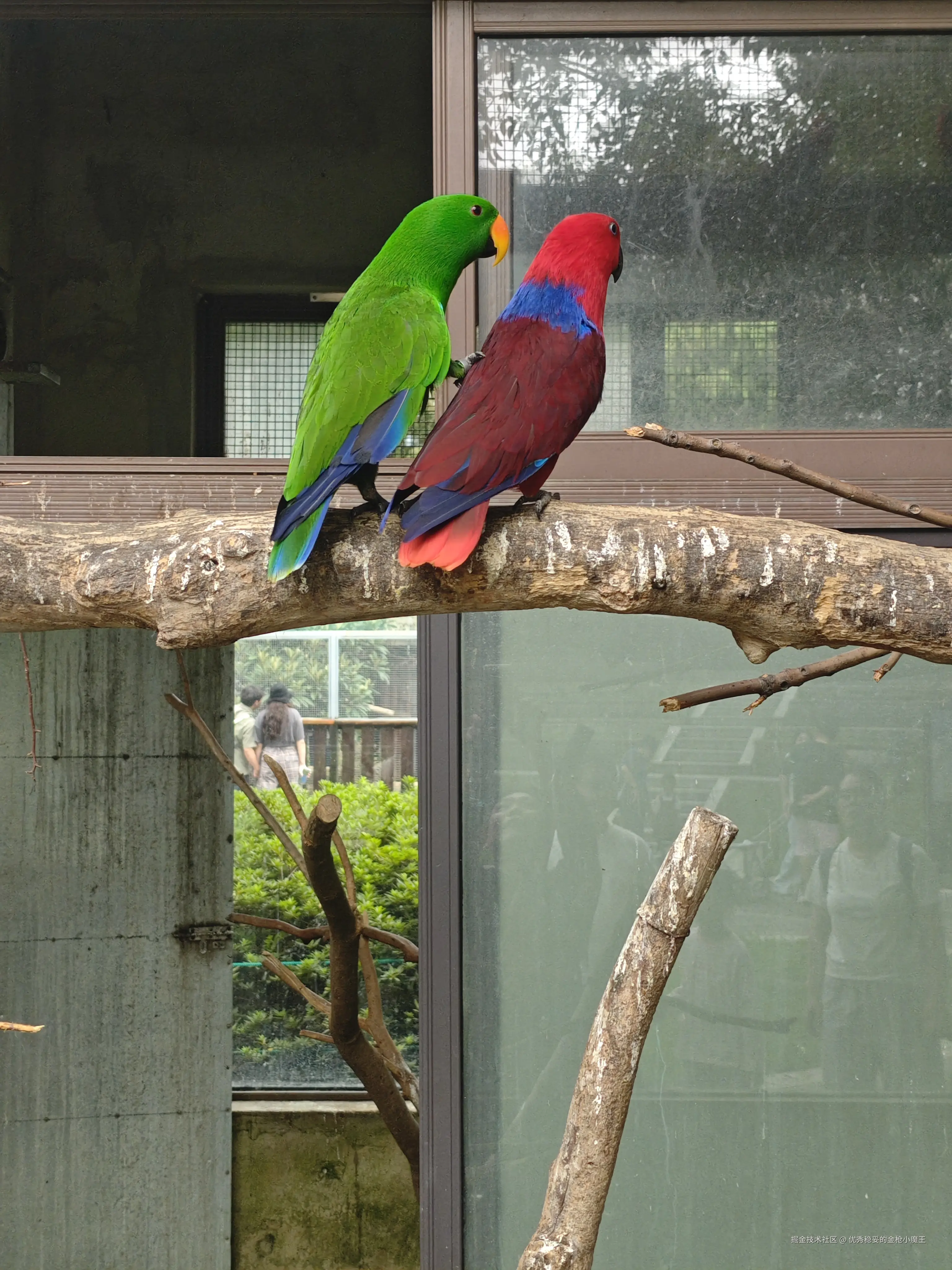 优秀稳妥的金枪小魔王于2025-09-23 09:57发布的图片