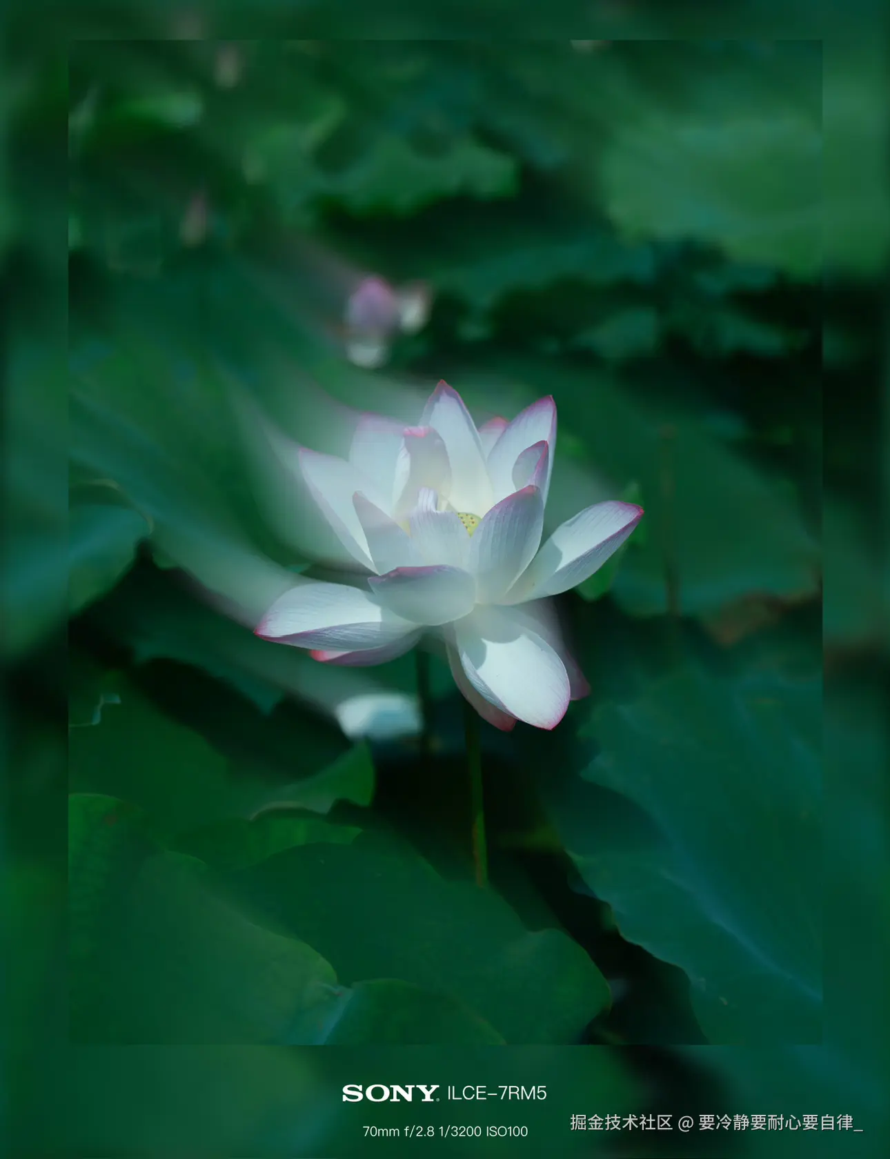 要冷静要耐心要自律_于2024-09-03 10:55发布的图片