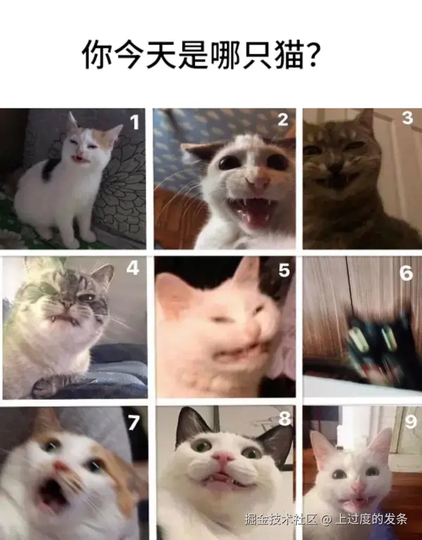 上过度的发条于2025-10-21 09:51发布的图片