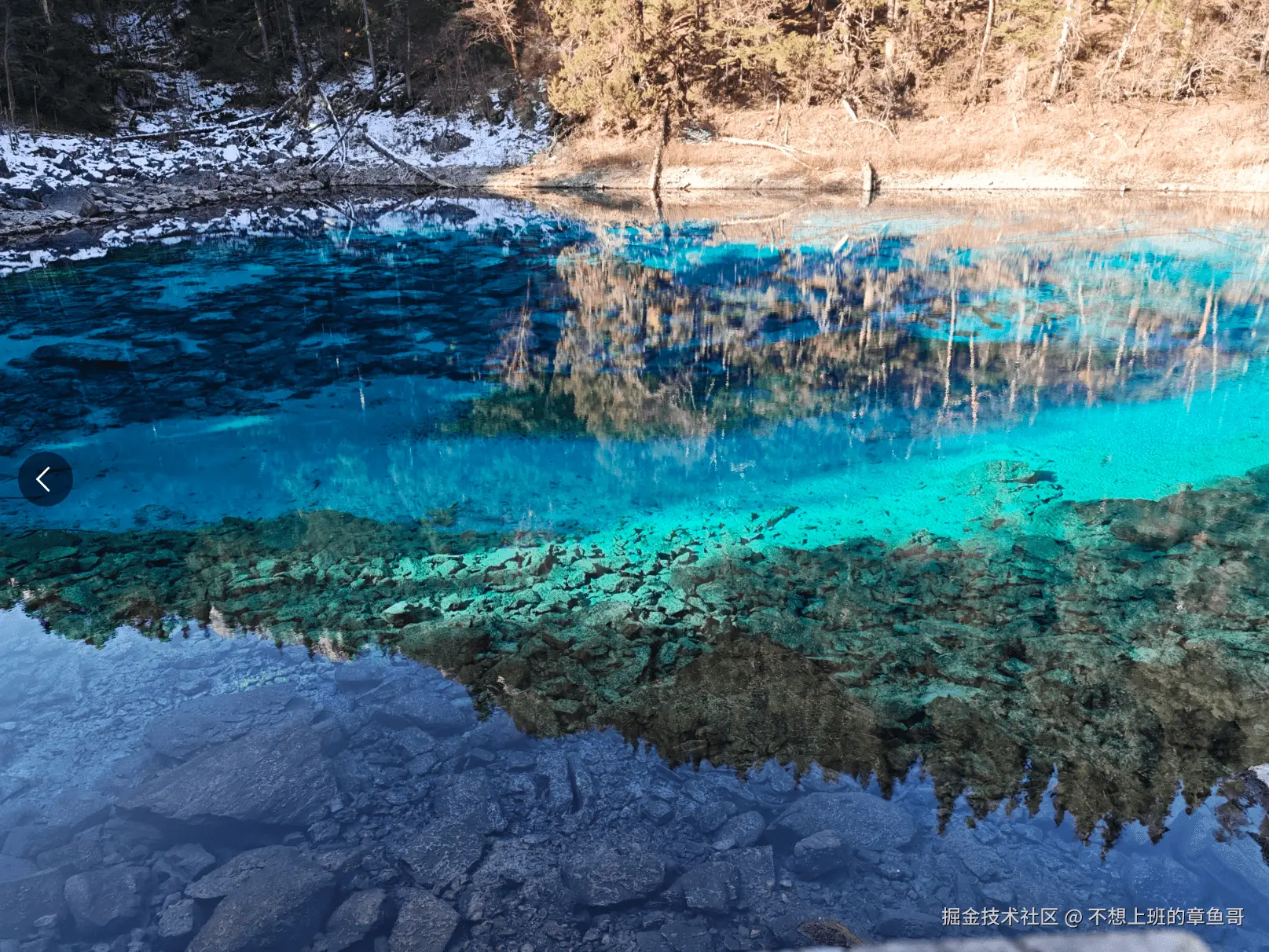 不想上班的章鱼哥于2025-12-09 17:55发布的图片