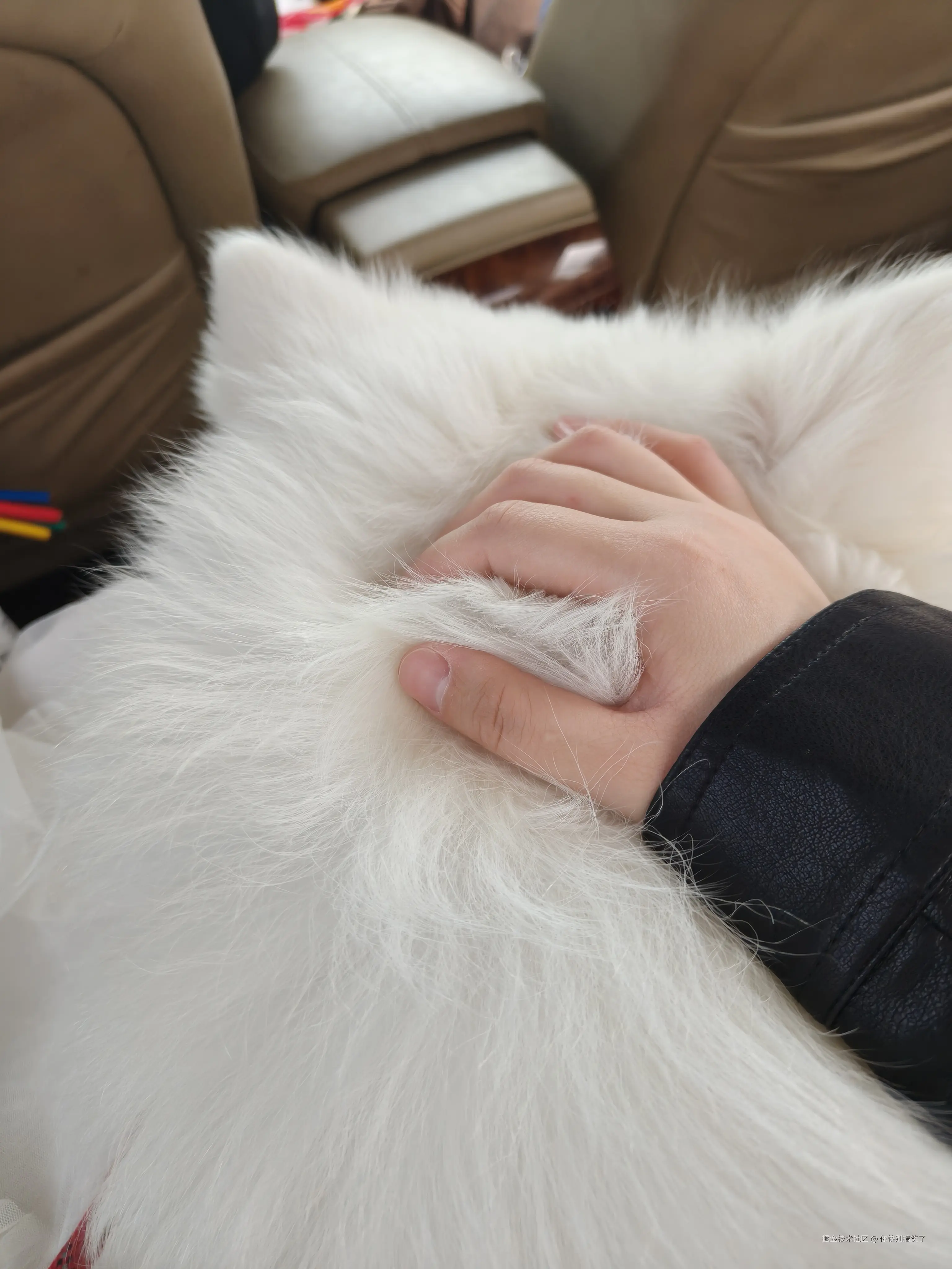 你快别搞笑了于2026-03-27 11:58发布的图片