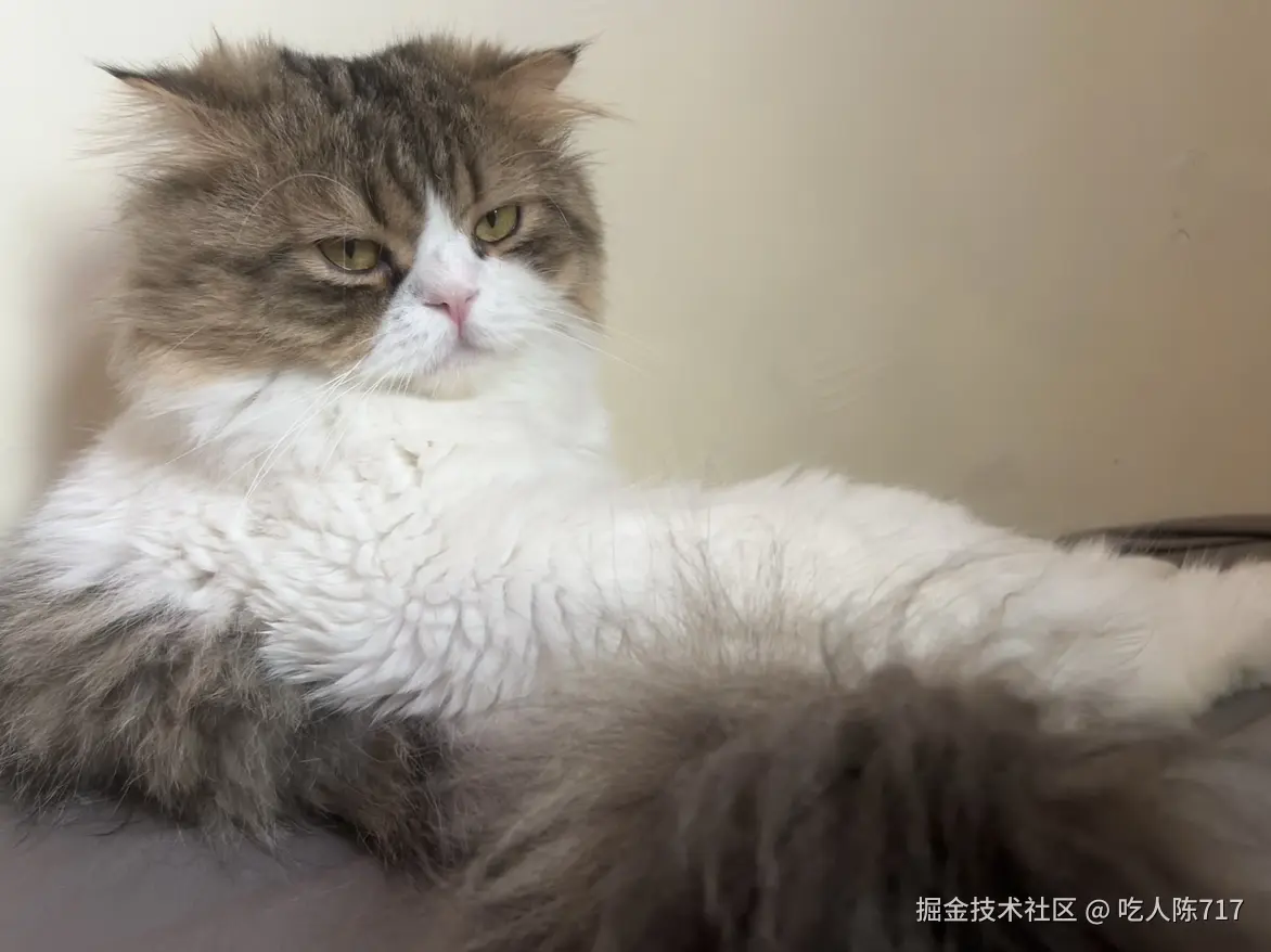 吃人陈717于2025-11-27 14:08发布的图片