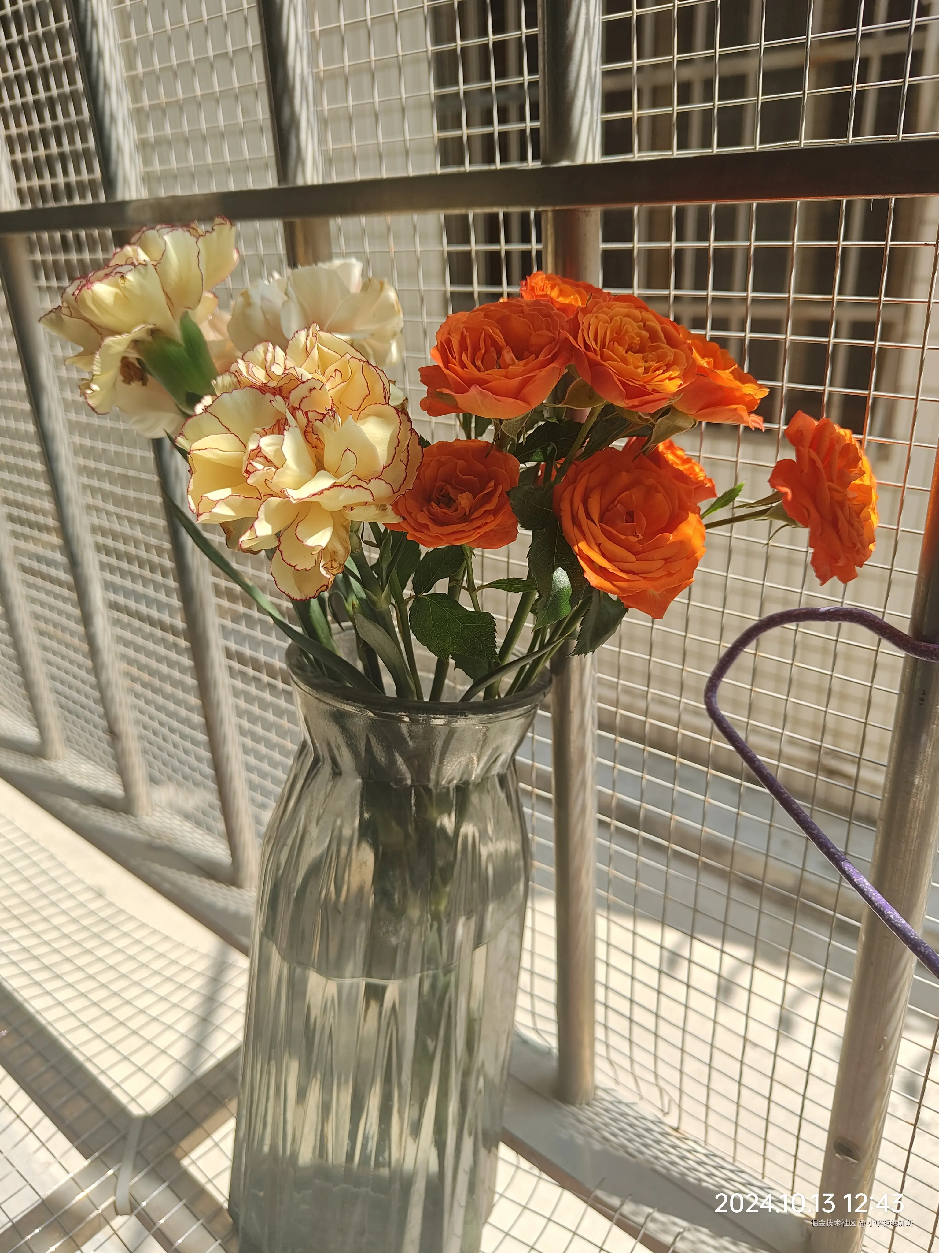 小喵拒绝加班于2024-10-16 12:33发布的图片