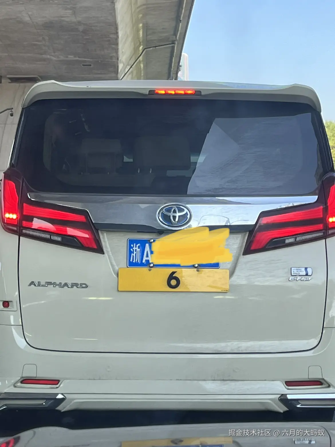 六月的大蚂蚁于2025-08-27 09:42发布的图片