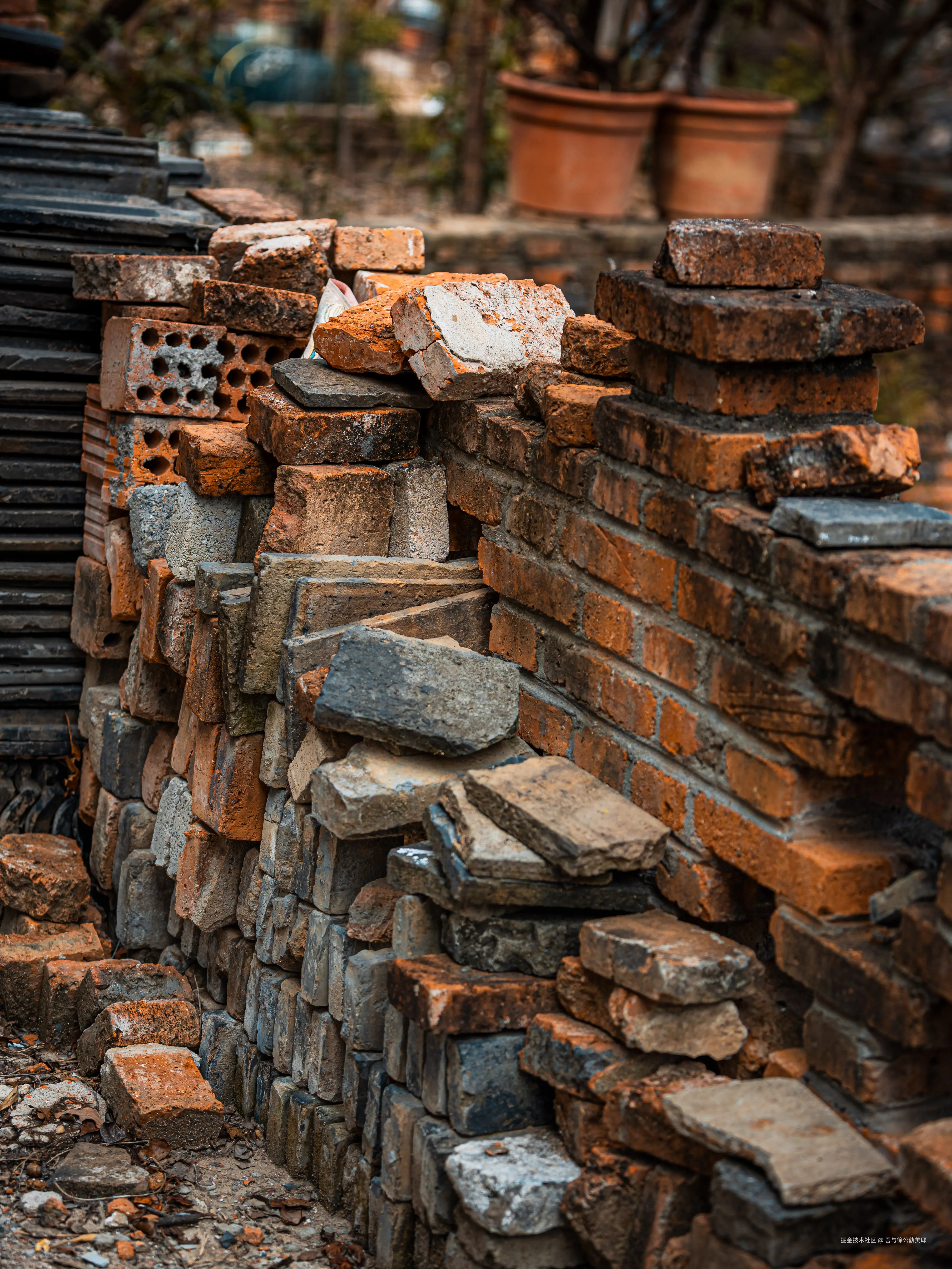 吾与徐公孰美耶于2024-09-06 15:01发布的图片