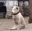 情迷曼哈顿丶于2025-04-27 02:04发布的图片