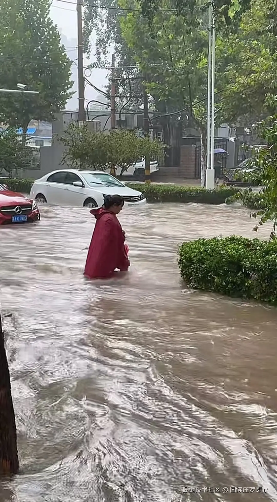 国际庄梦想家于2024-08-09 10:47发布的图片
