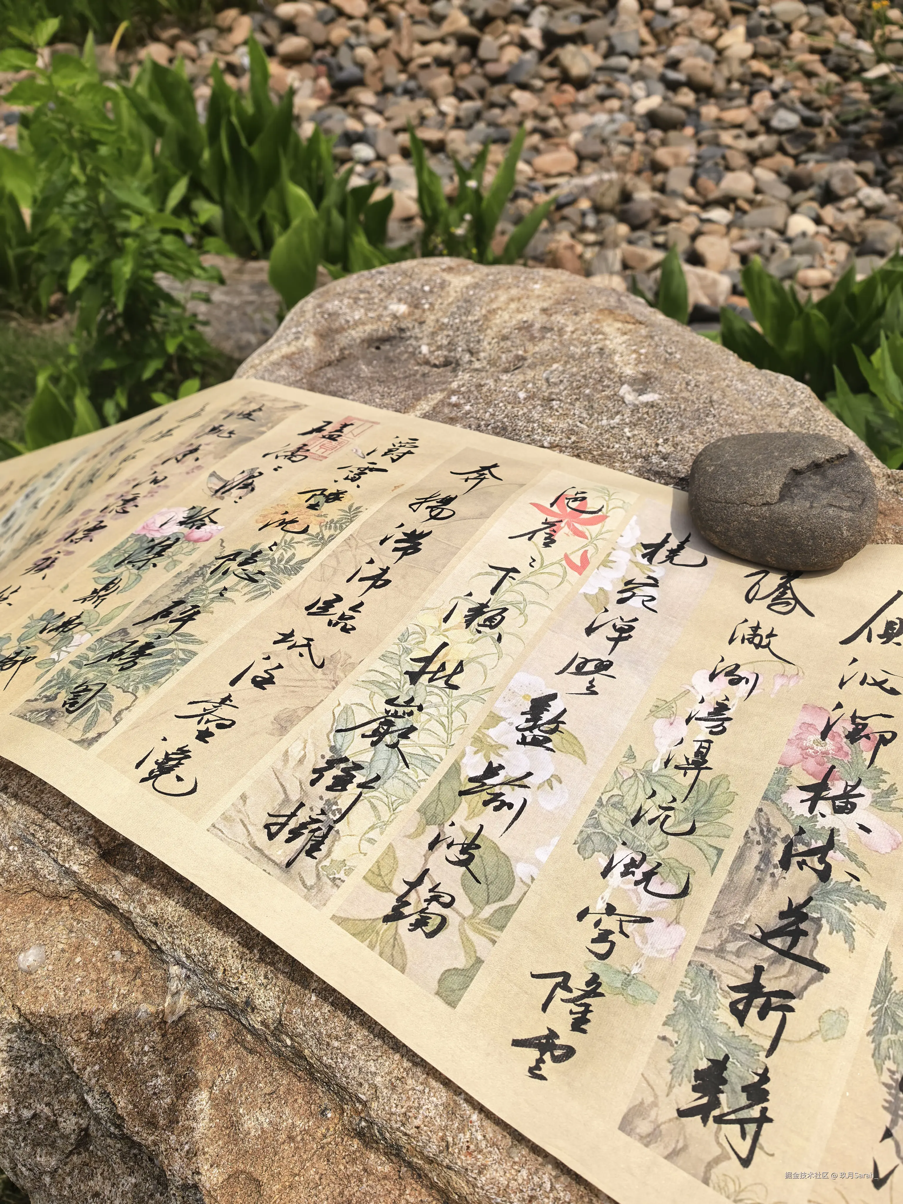 玖月Sarah_于2026-05-09 10:39发布的图片