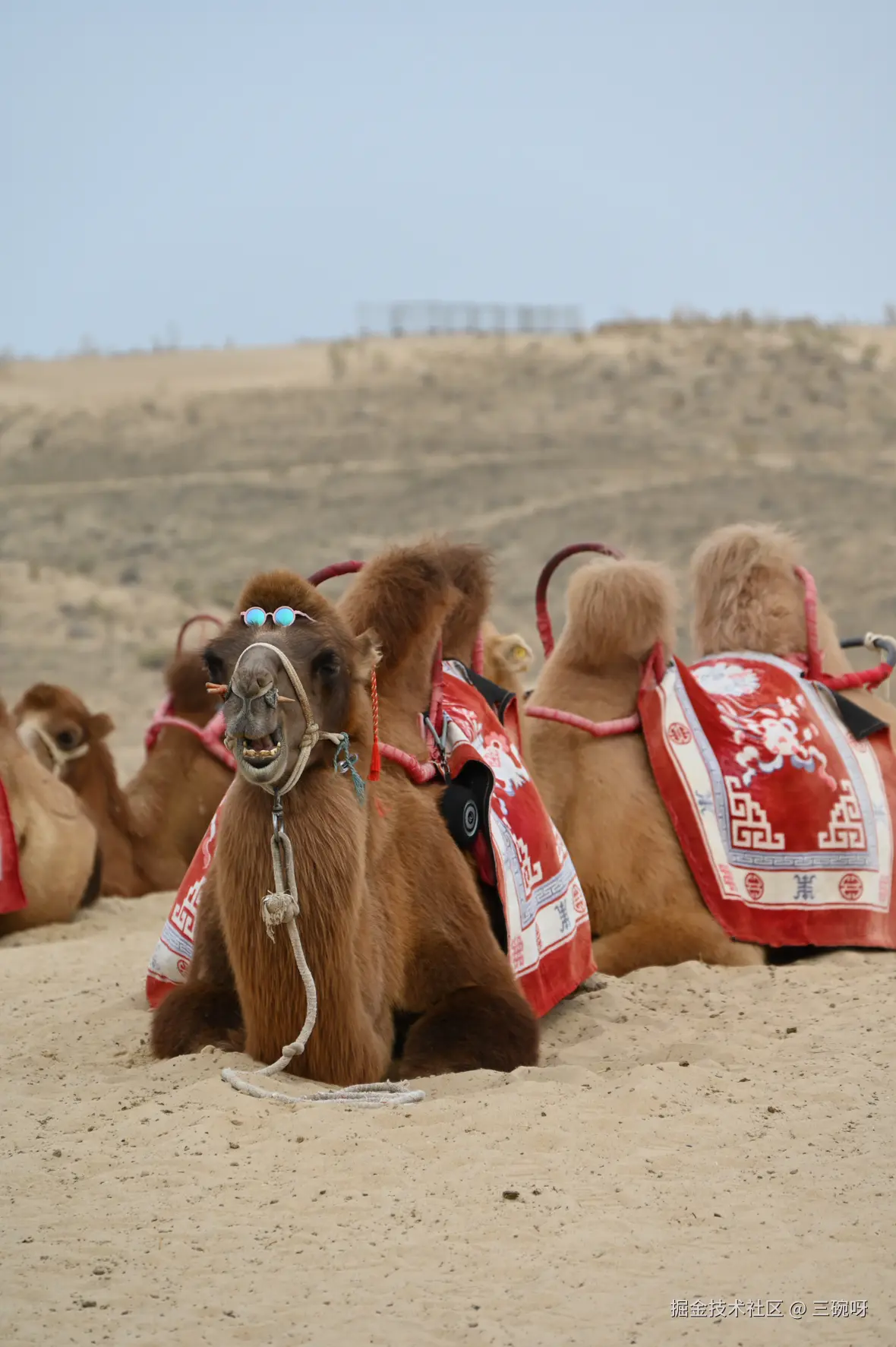 三碗呀于2025-10-15 16:19发布的图片