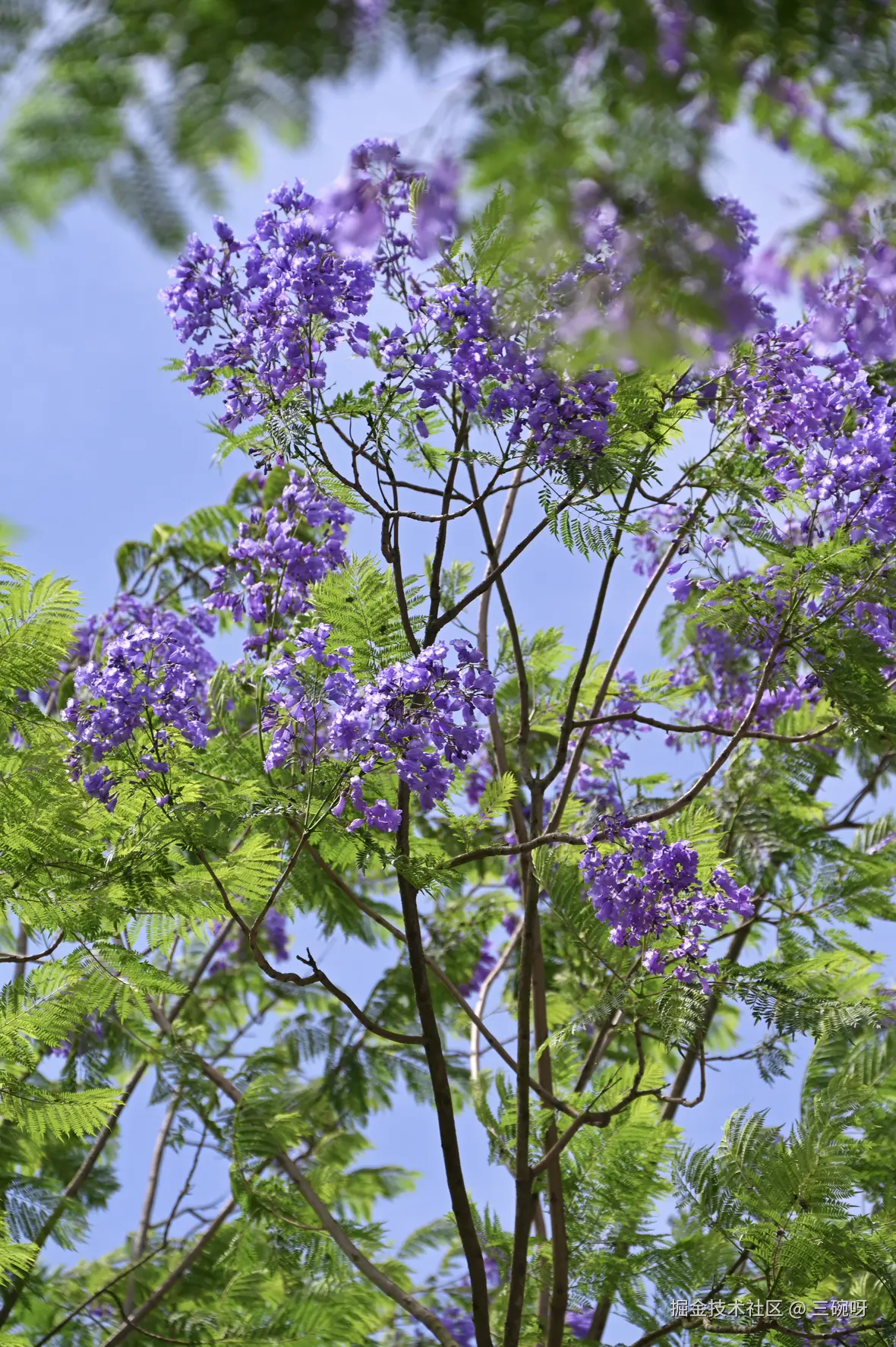 三碗呀于2025-05-26 10:33发布的图片