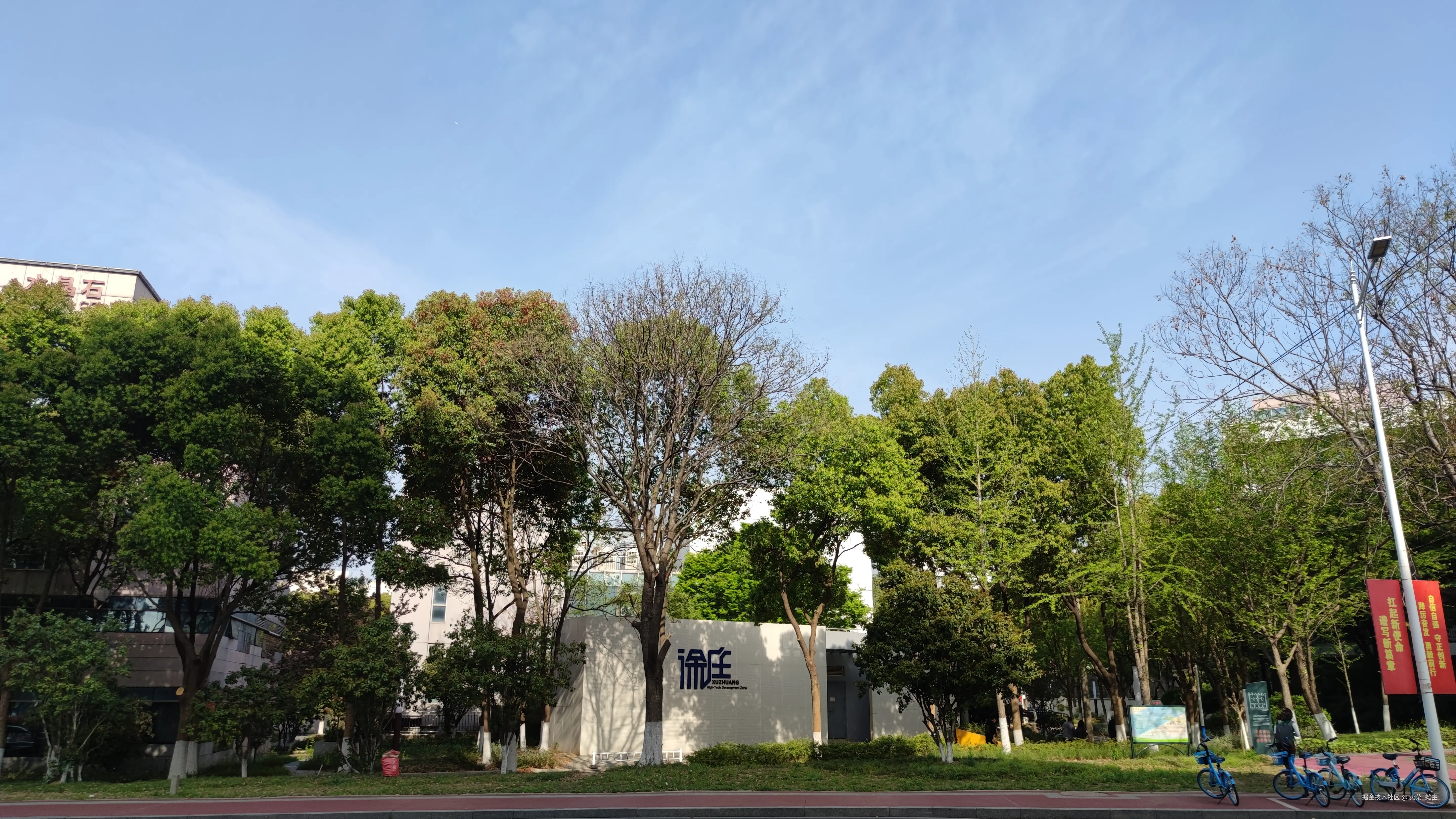 卖菜_摊主于2025-04-07 08:32发布的图片