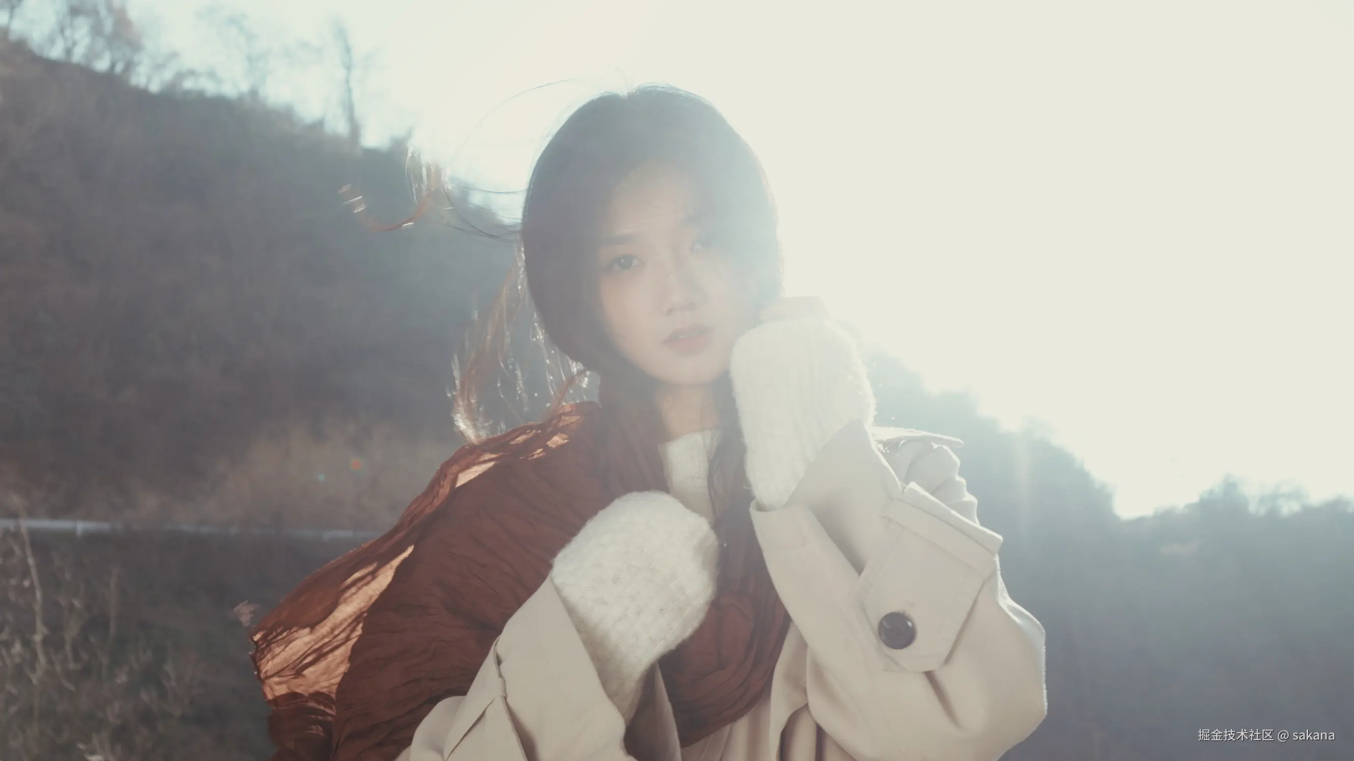 sakana于2026-01-02 11:33发布的图片