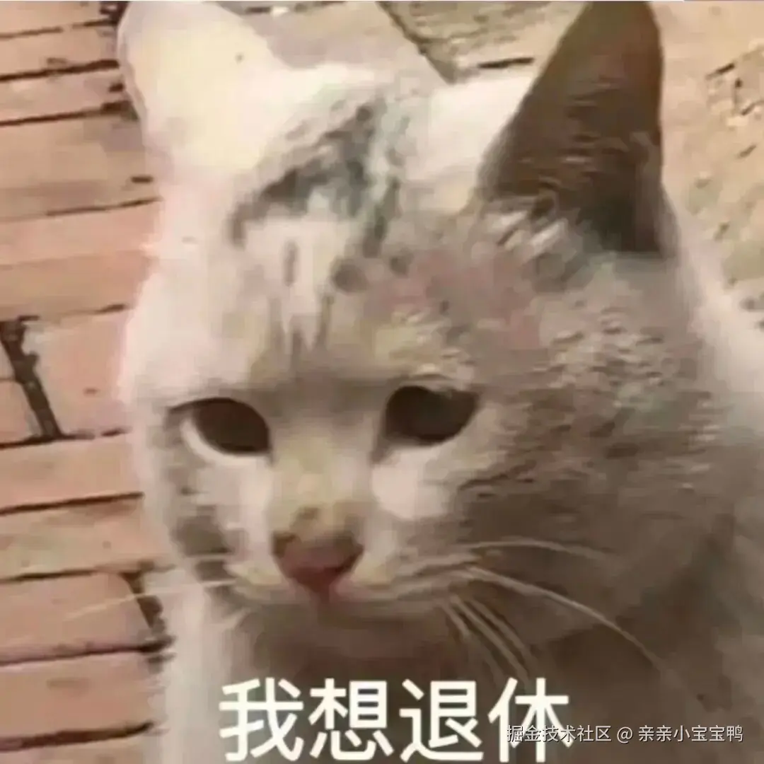 亲亲小宝宝鸭于2026-03-05 09:17发布的图片