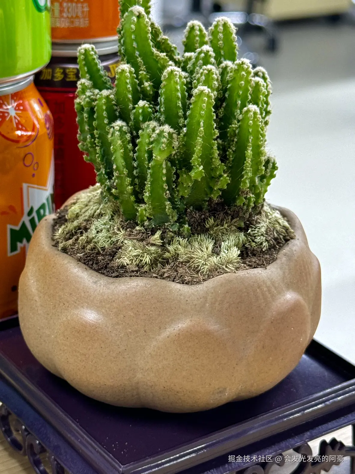 会发光发亮的阿豪于2024-10-19 08:12发布的图片