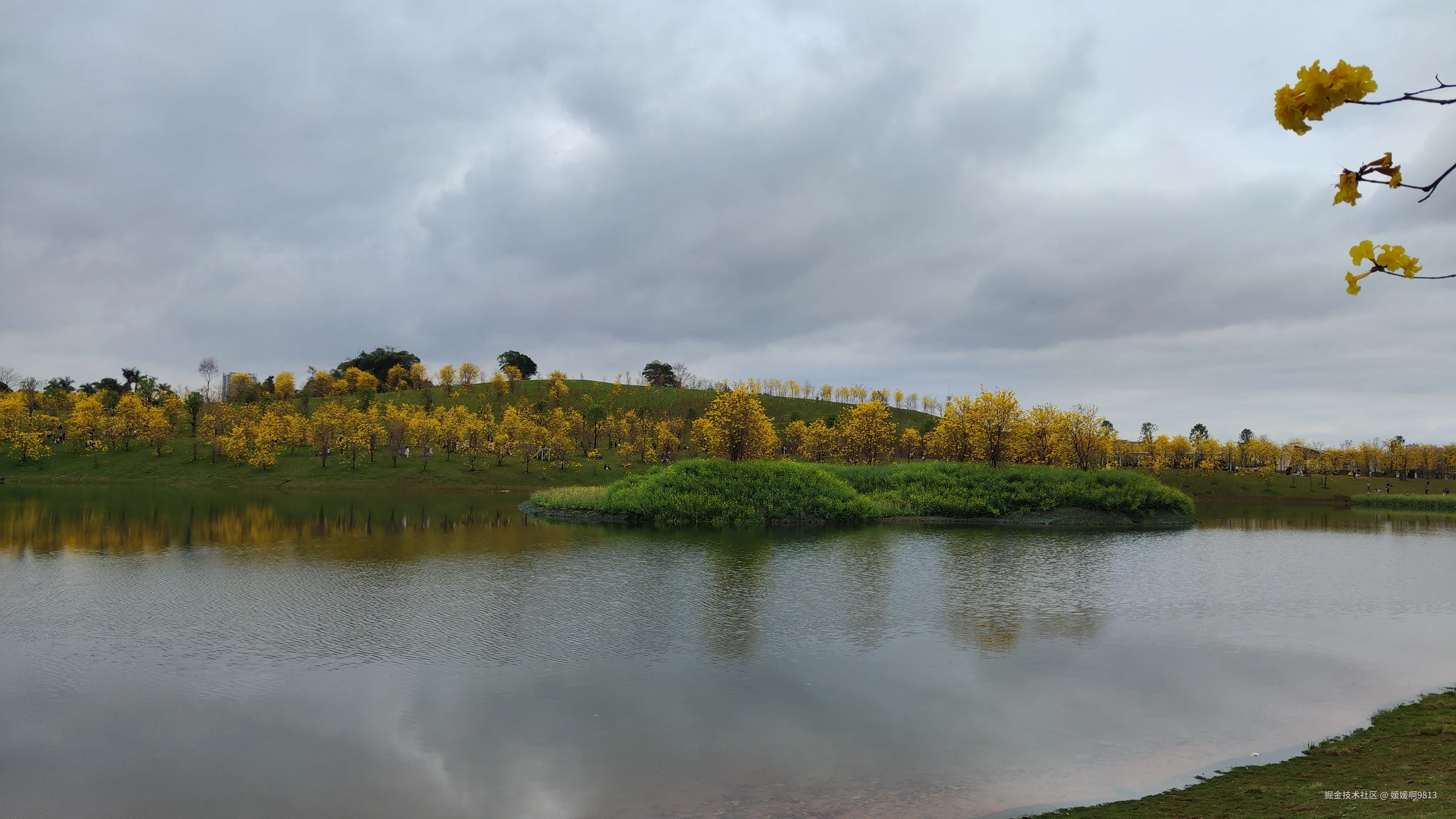 媛媛啊9813于2025-03-16 04:30发布的图片