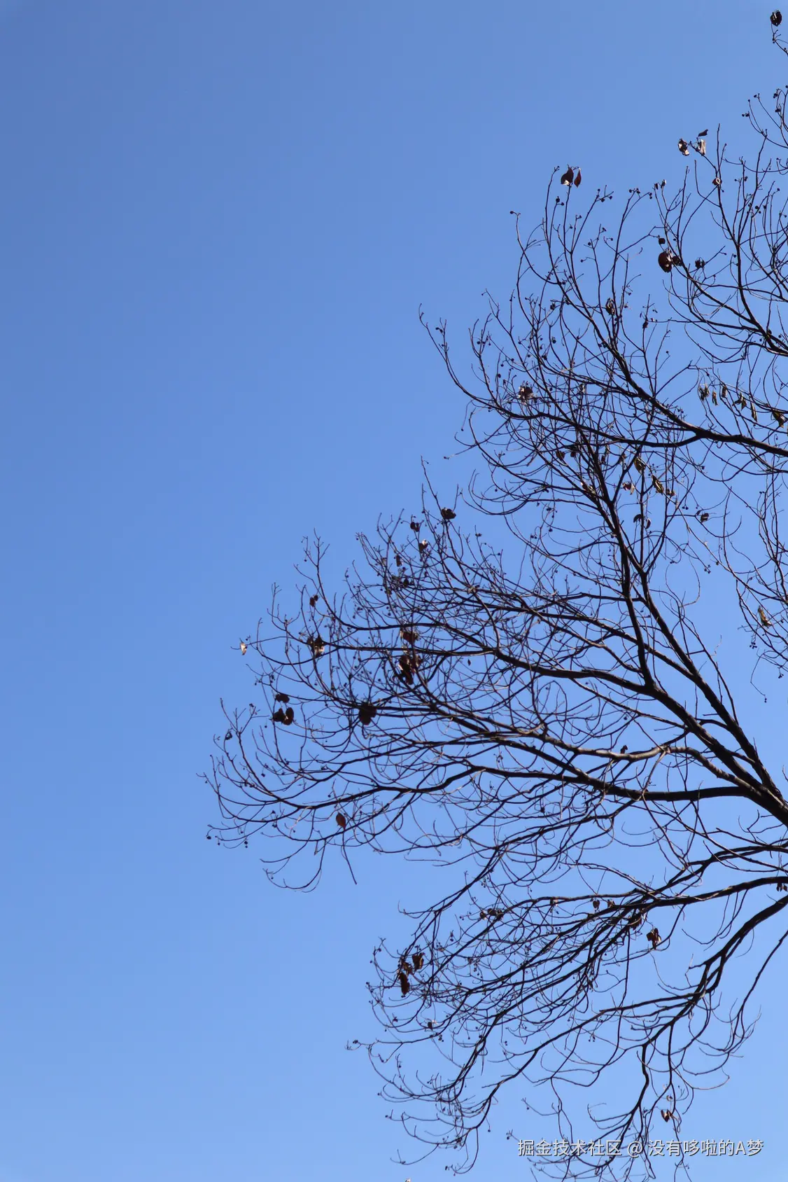 没有哆啦的A梦于2025-02-17 07:16发布的图片