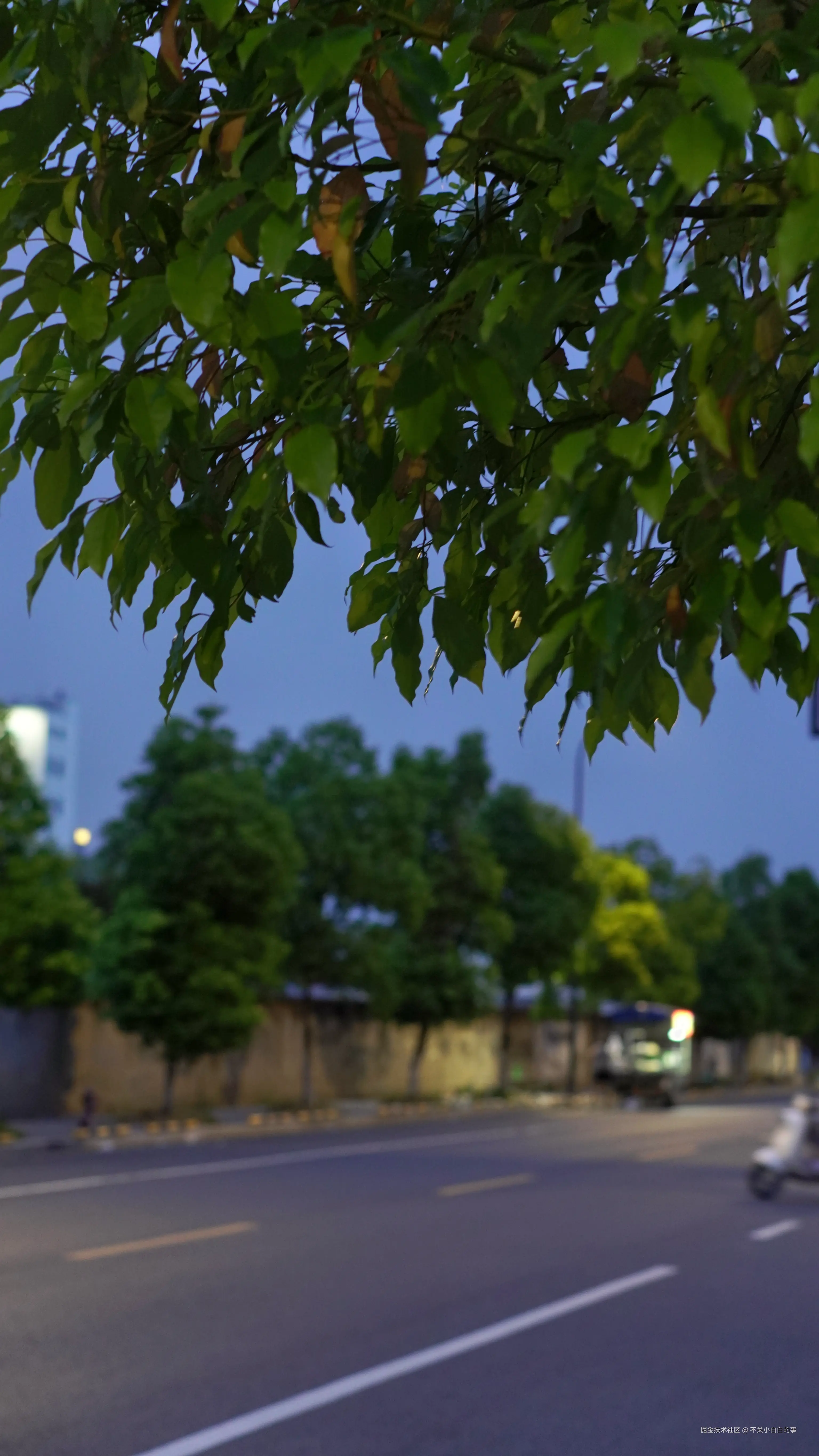 不关小白白的事于2024-08-12 09:42发布的图片