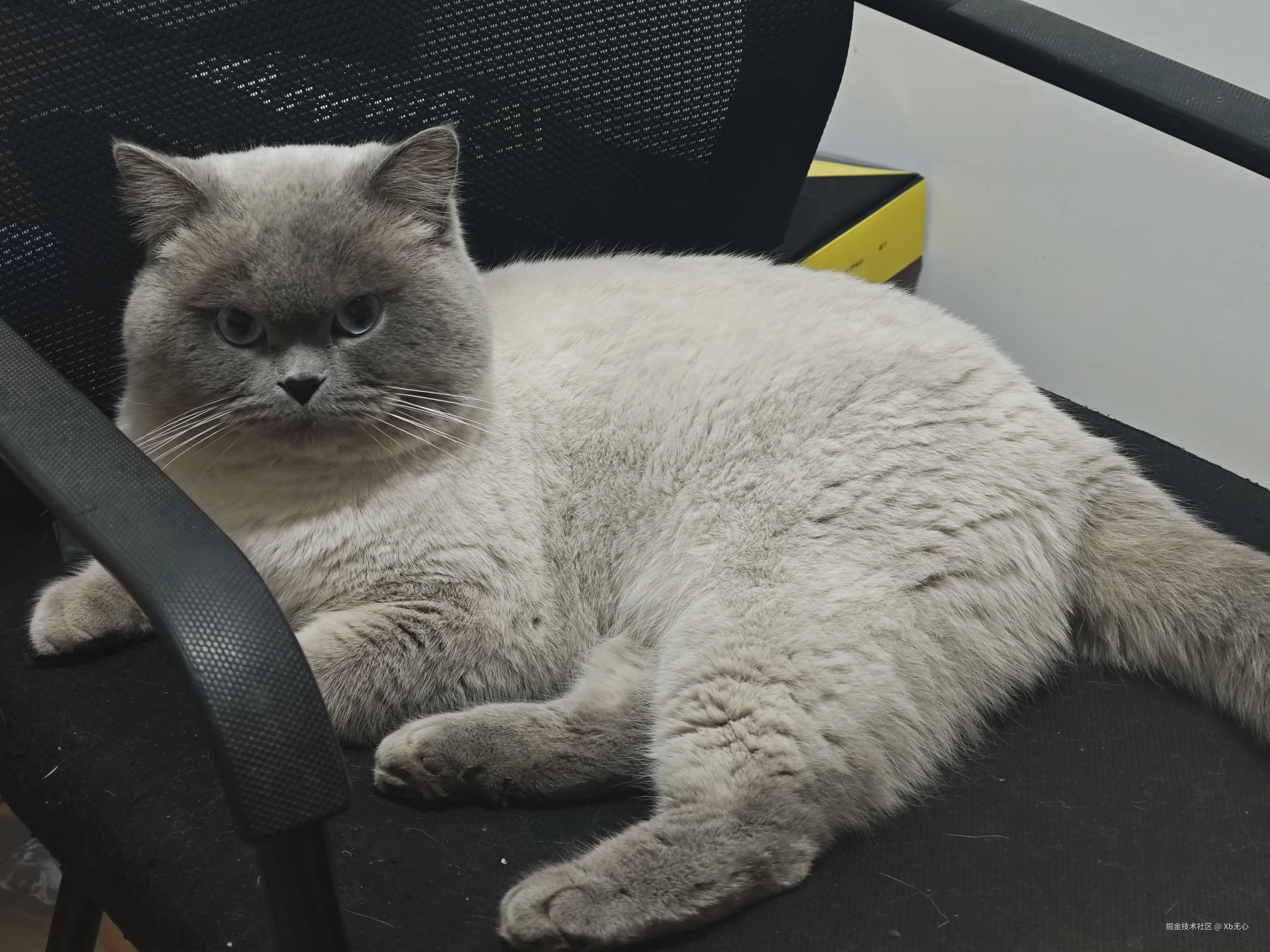 Xb无心于2025-04-03 09:32发布的图片