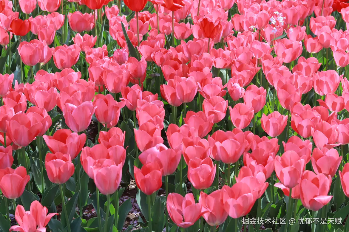 忧郁不是天赋于2025-03-11 15:47发布的图片