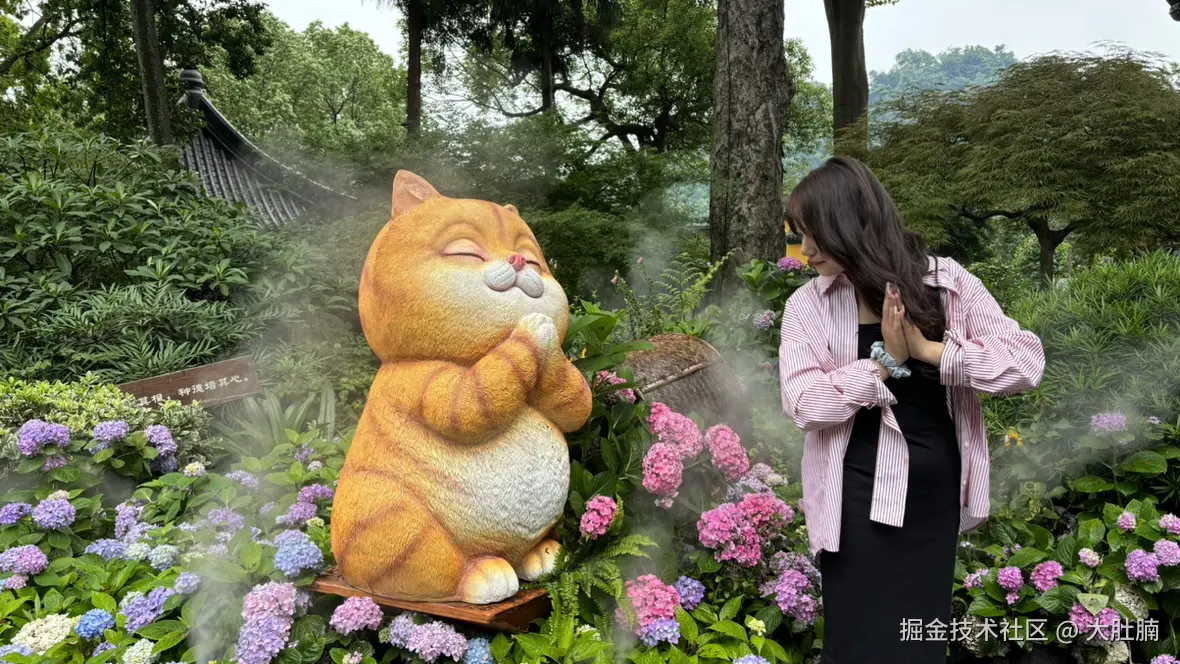 大肚腩于2025-05-25 16:10发布的图片