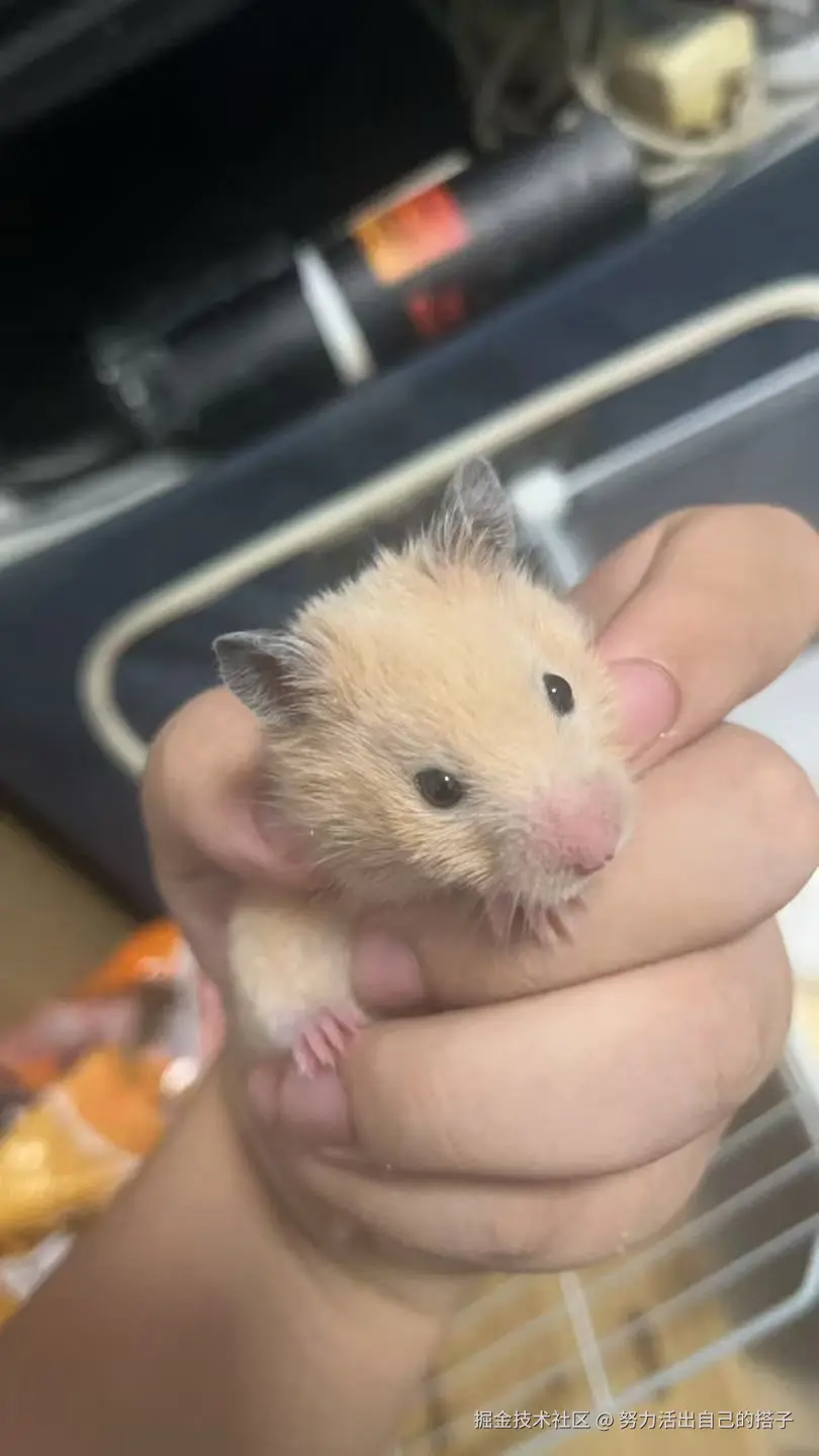 努力活出自己的搭子于2025-09-02 09:13发布的图片