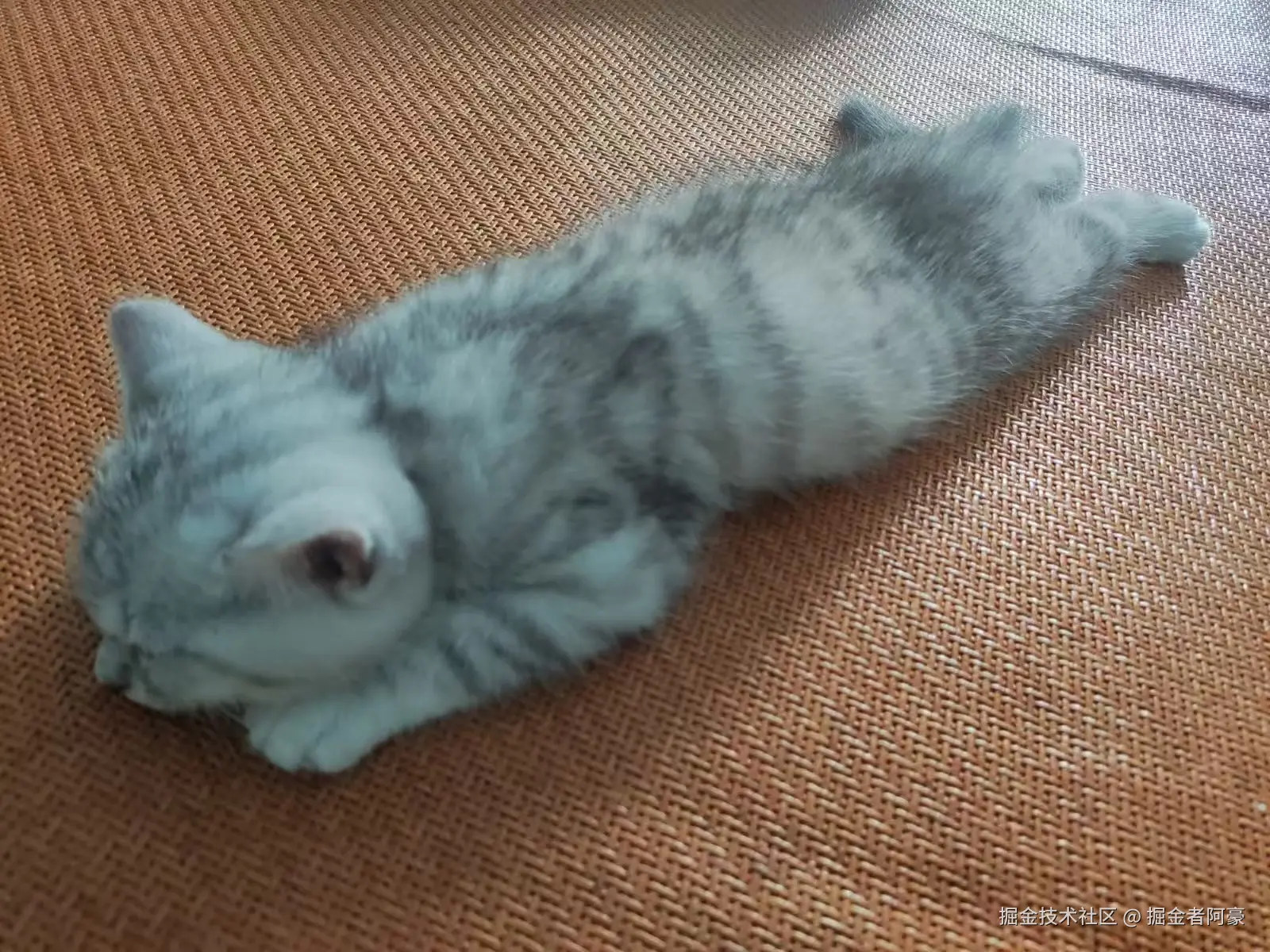 掘金者阿豪于2026-01-28 12:48发布的图片