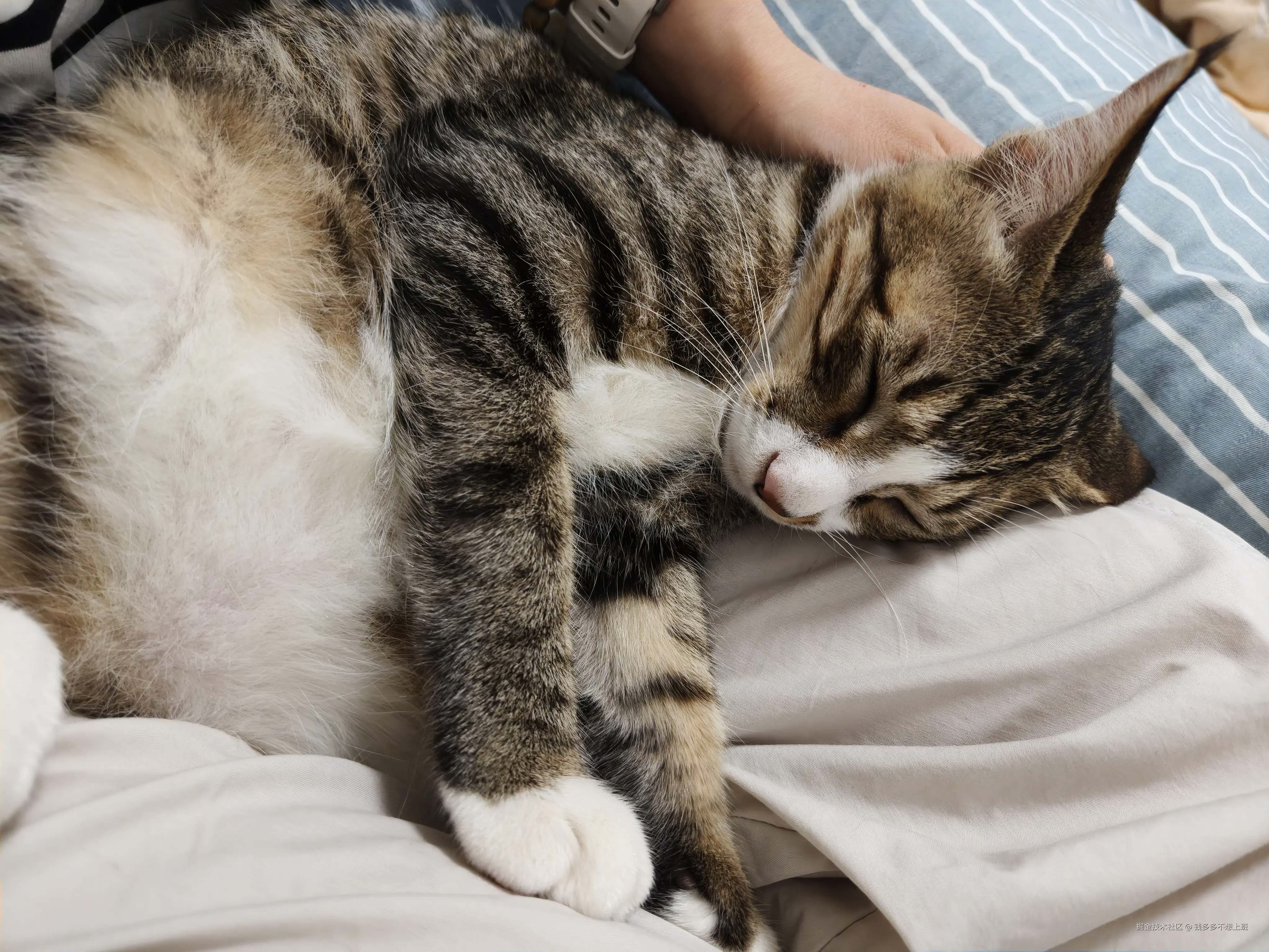 钱多多不想上班于2025-10-17 13:58发布的图片