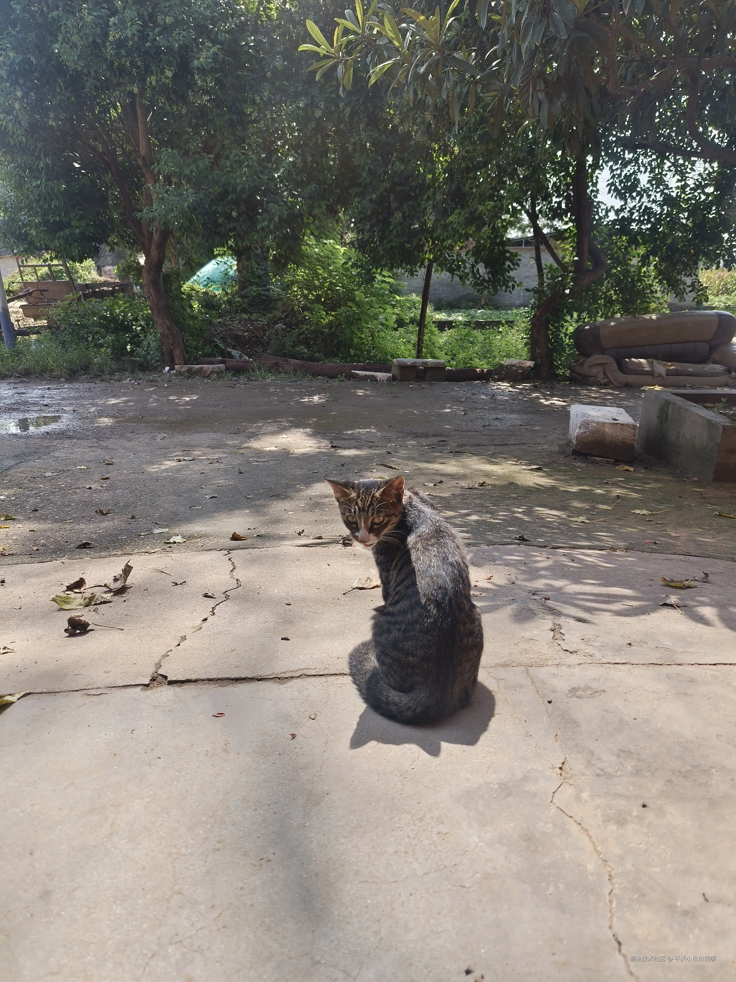 不关小白白的事于2025-10-10 09:51发布的图片