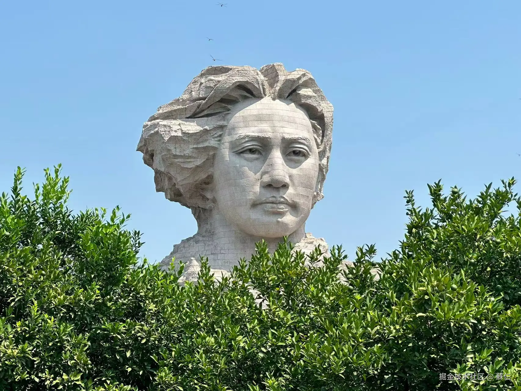 蘇仨于2025-08-18 09:39发布的图片