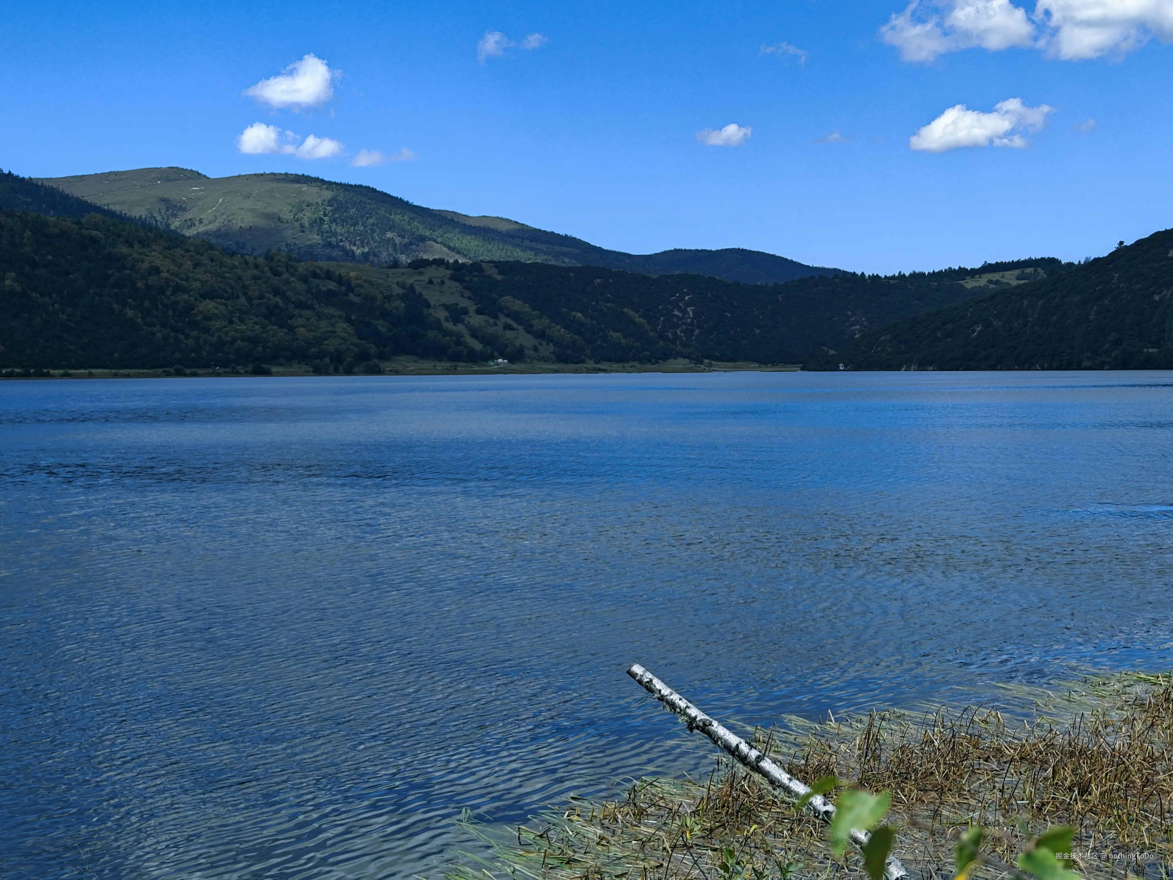 nothingToDo于2025-04-10 15:10发布的图片