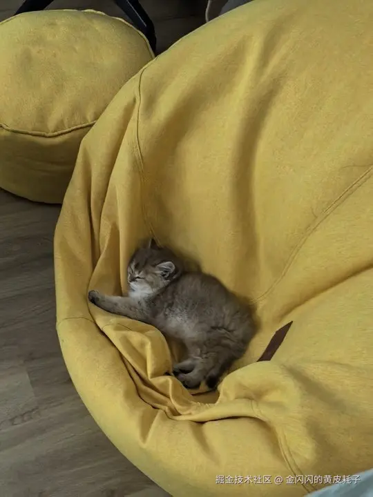 金闪闪的黄皮耗子于2025-09-17 09:25发布的图片