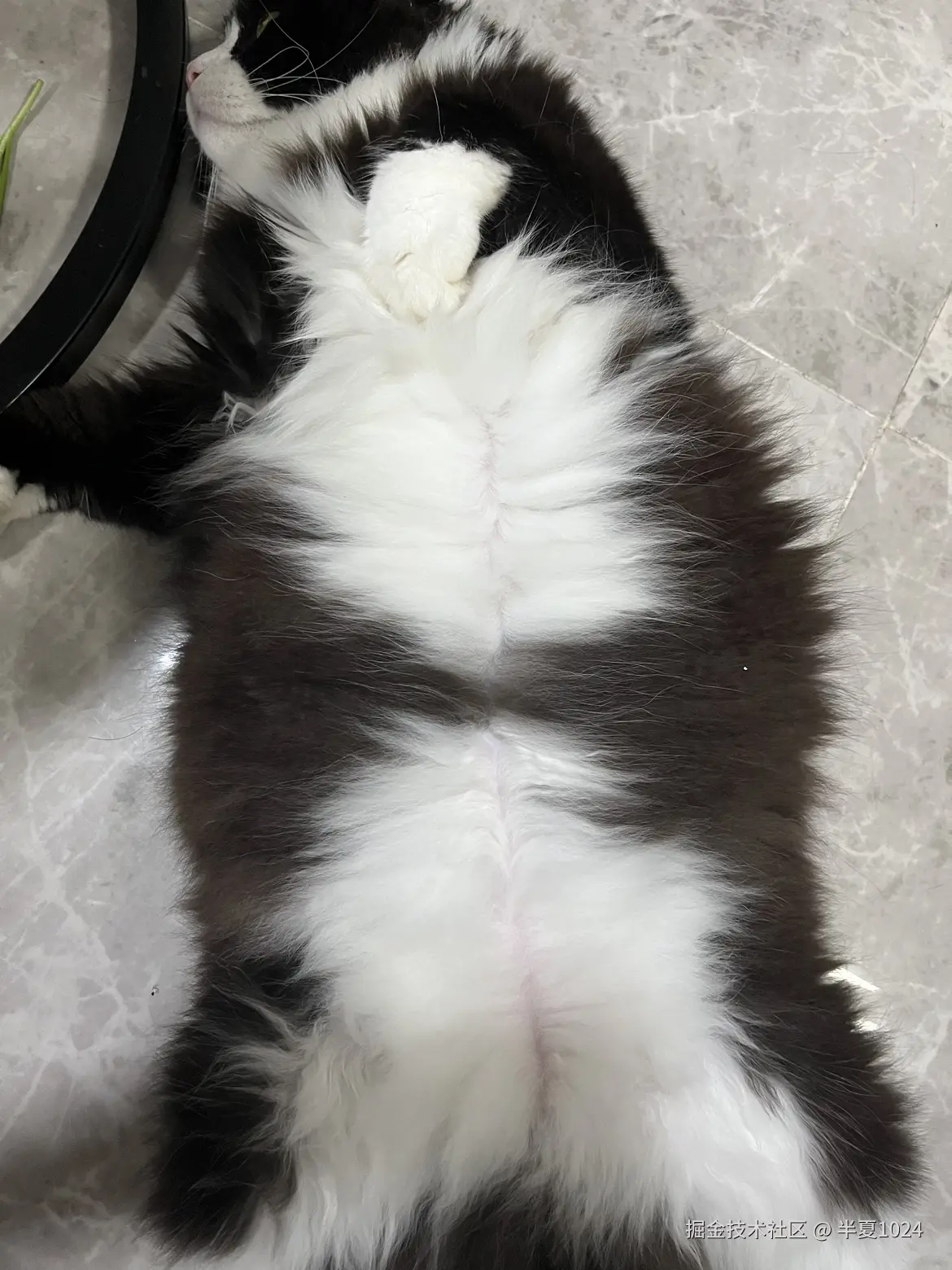 半夏1024于2024-10-15 09:16发布的图片