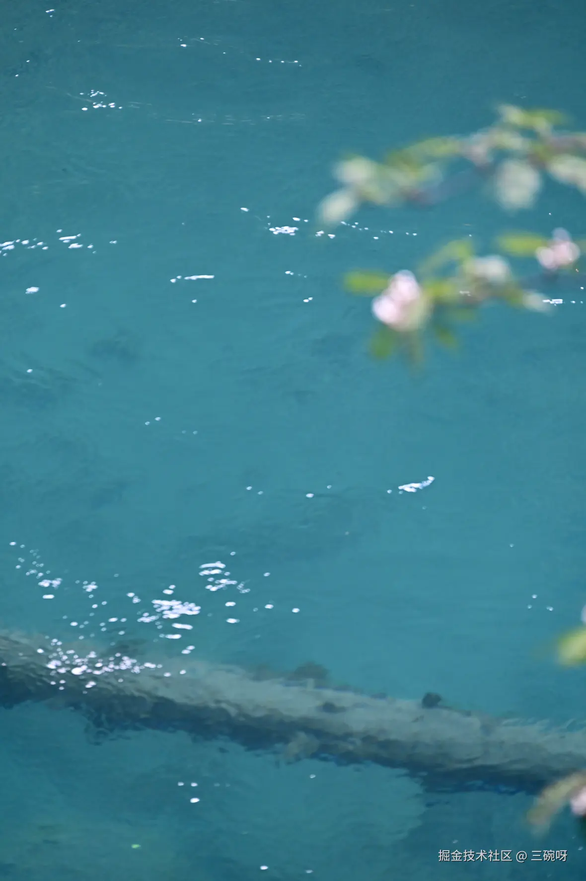 三碗呀于2025-11-19 08:23发布的图片