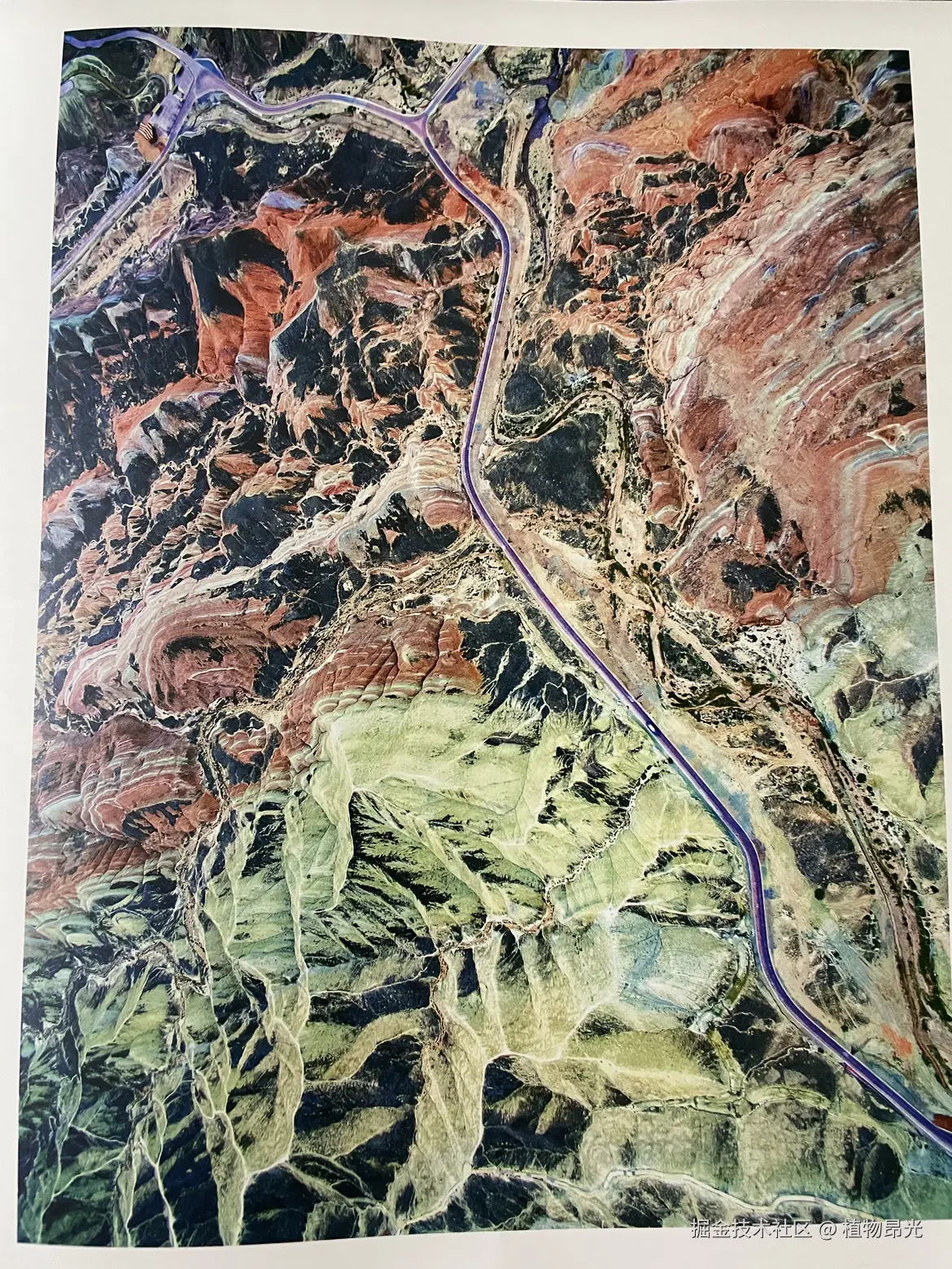 植物昂光于2026-03-25 20:30发布的图片