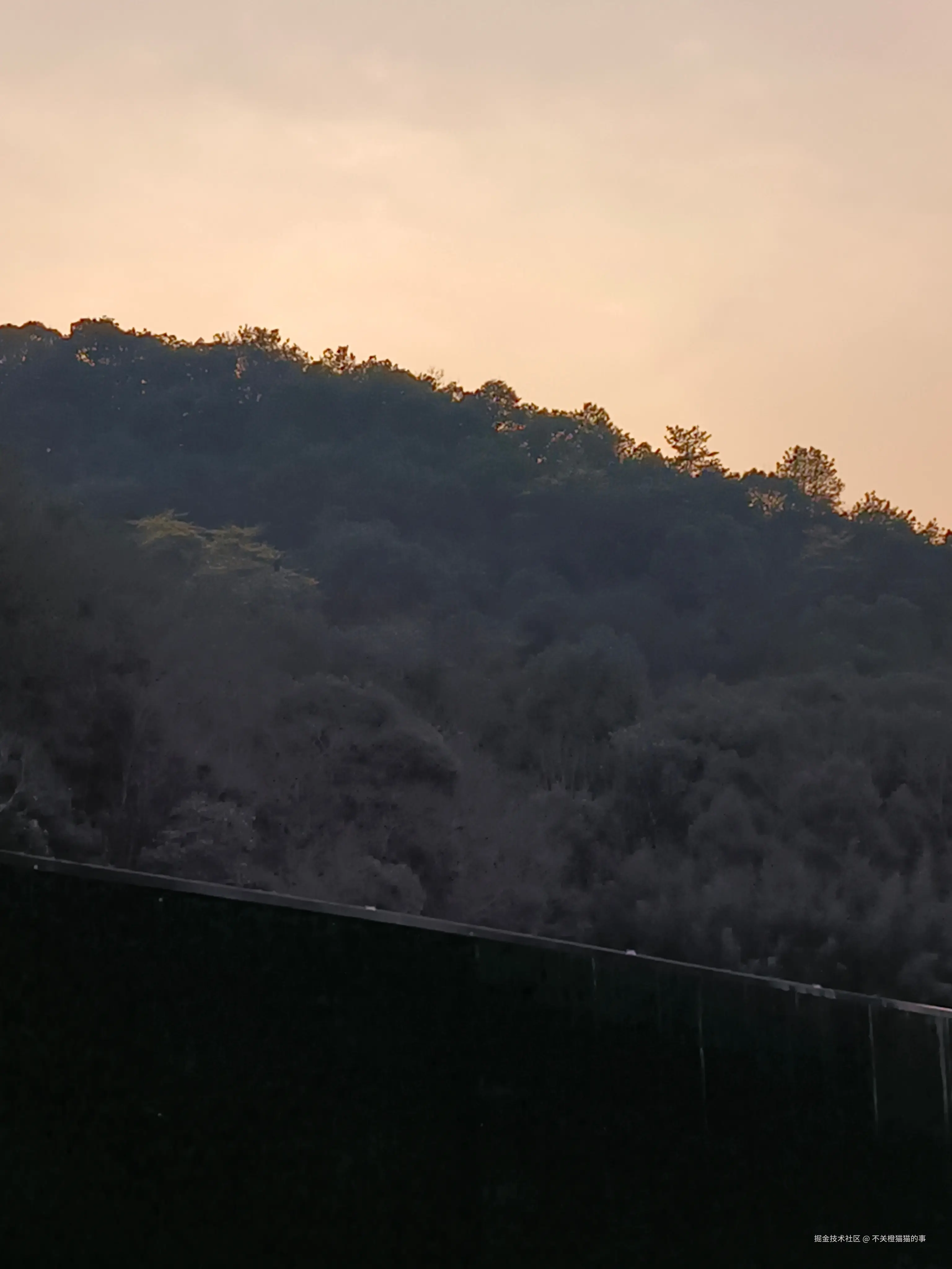 不关橙猫猫的事于2026-03-12 09:29发布的图片