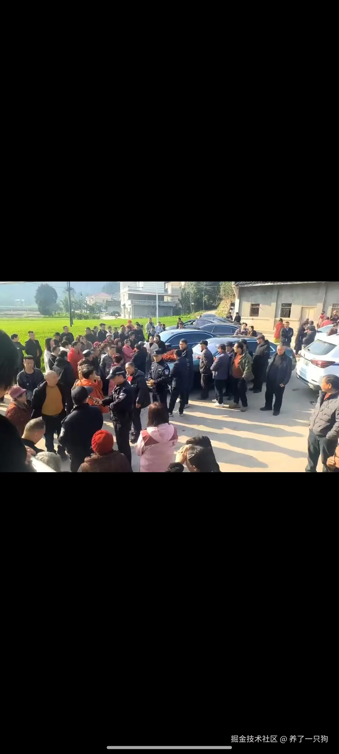 养了一只狗于2026-02-24 14:20发布的图片