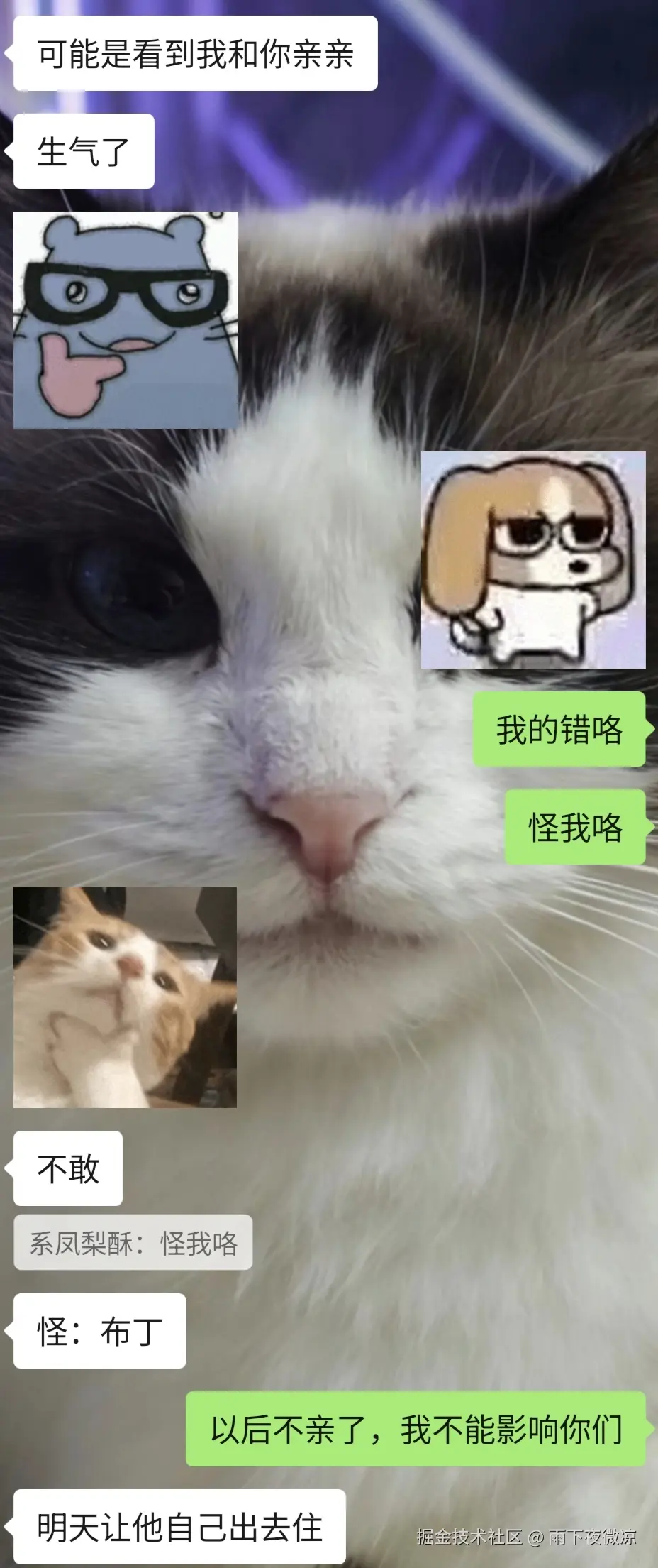 雨下夜微凉于2026-04-13 00:51发布的图片