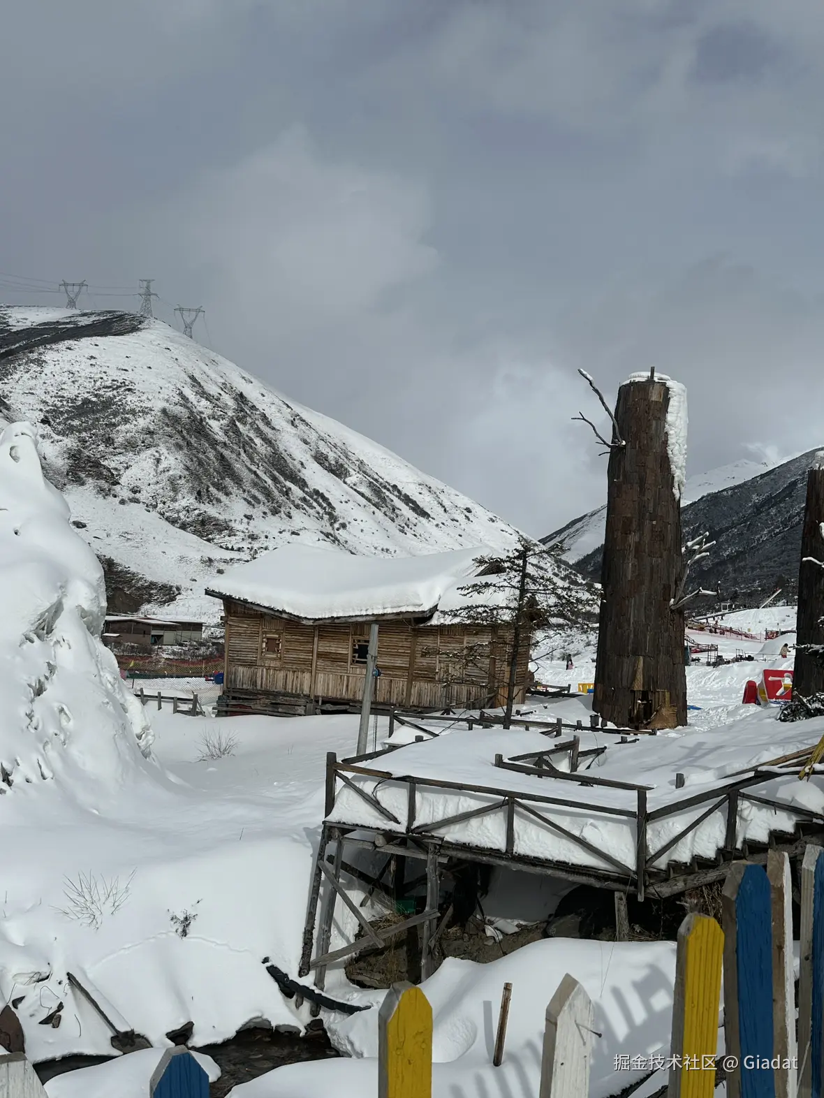 Giadat于2024-12-02 10:48发布的图片