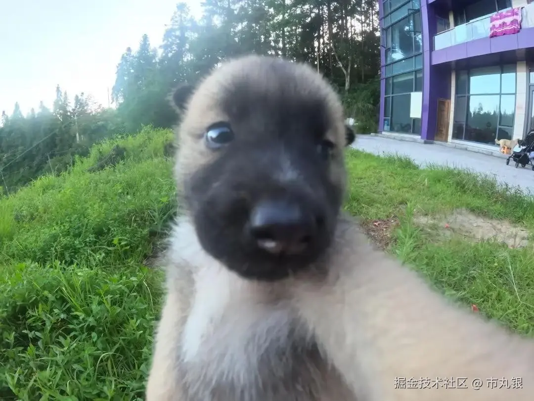 市丸银于2025-07-16 08:56发布的图片