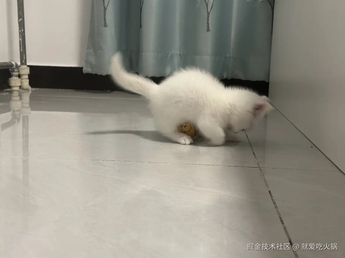 就爱吃火锅于2025-02-19 09:30发布的图片