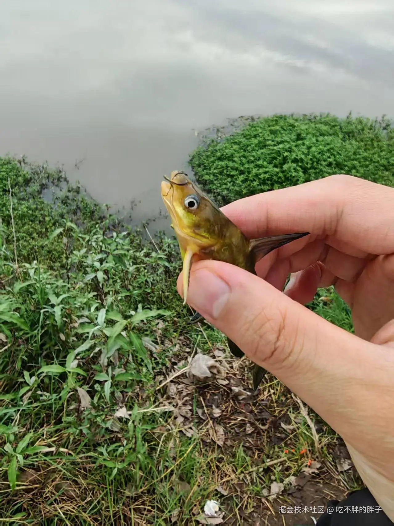 吃不胖的胖子于2025-08-12 15:42发布的图片