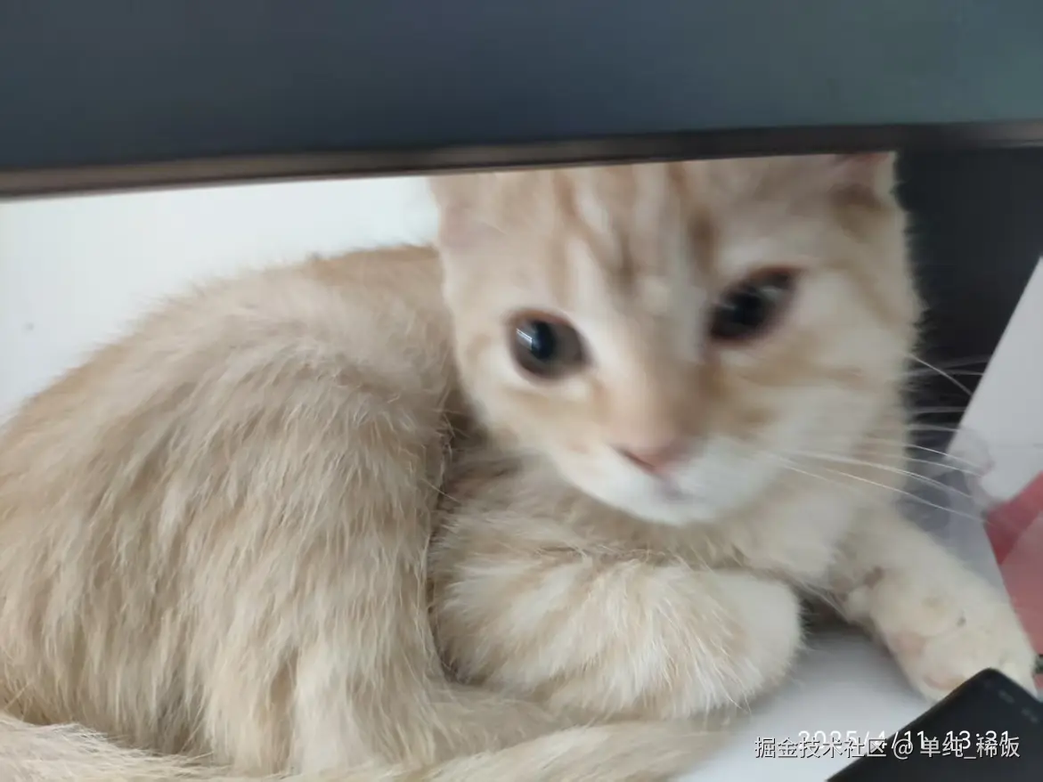 单纯_稀饭于2025-04-11 15:02发布的图片