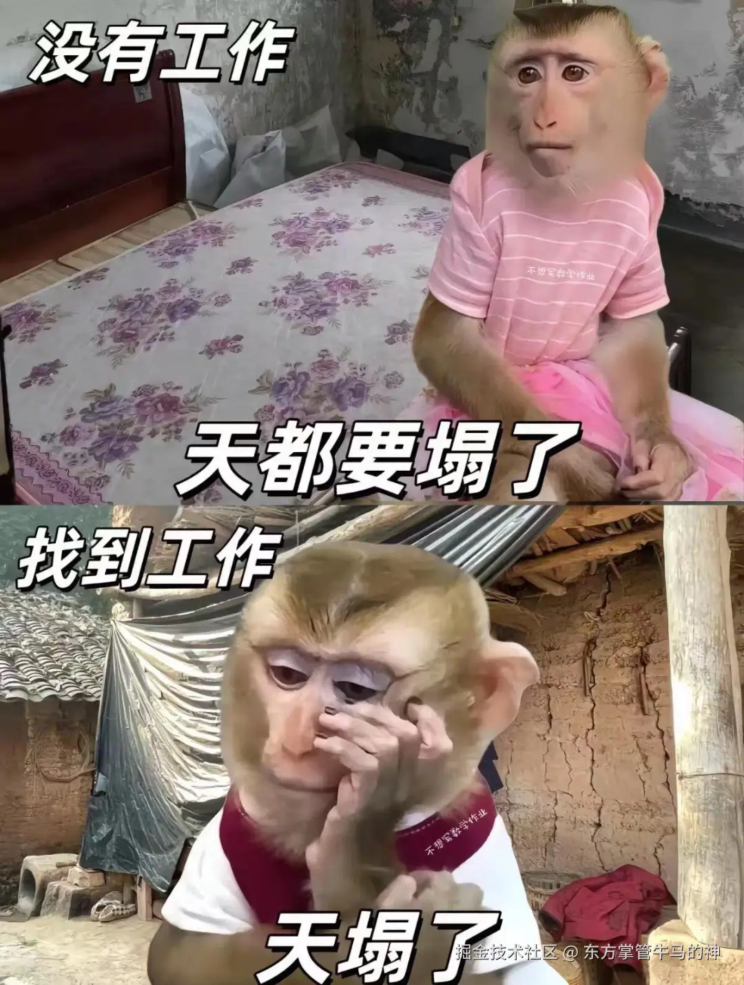 东方掌管牛马的神于2024-07-30 08:50发布的图片